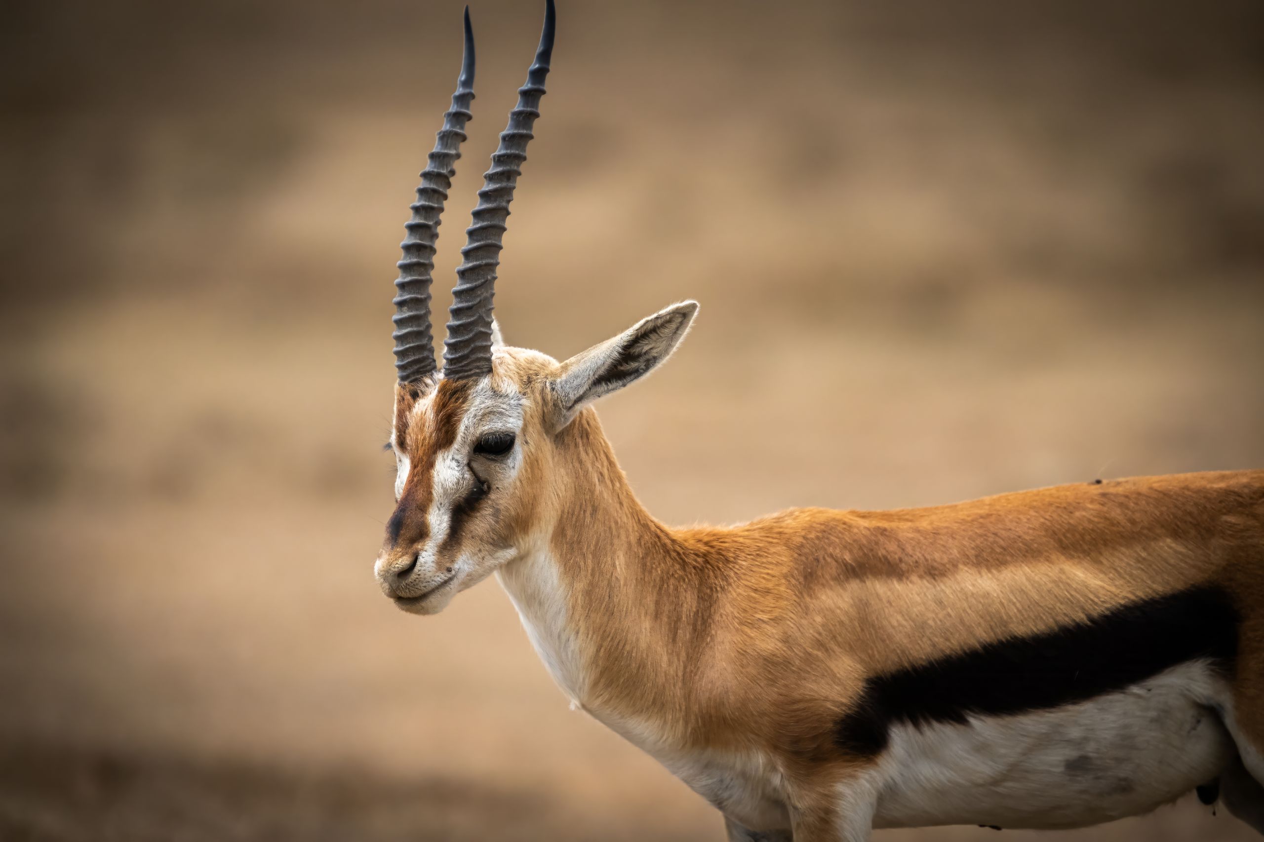 Tanzanie 2024 129