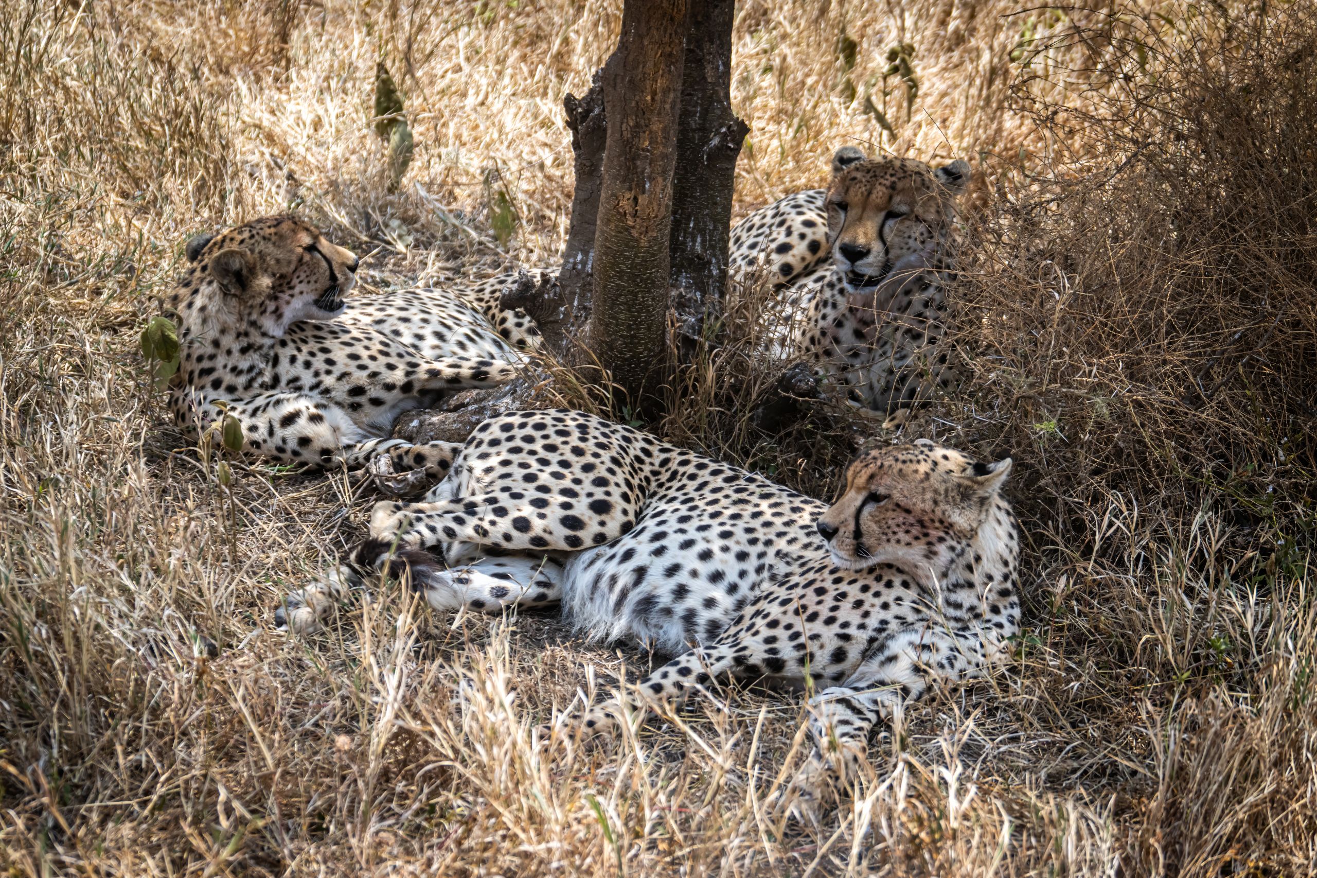 Tanzanie 2024 139
