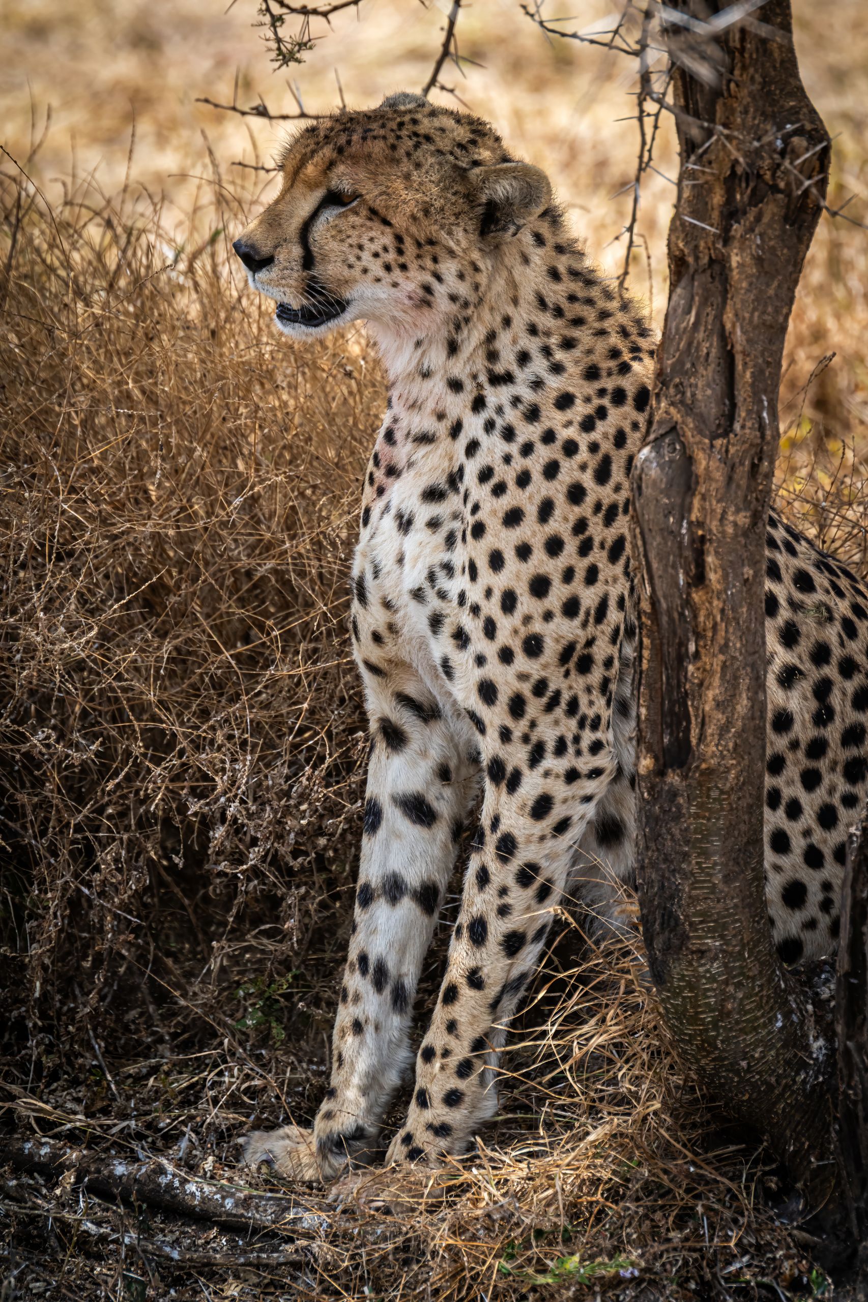 Tanzanie 2024 151