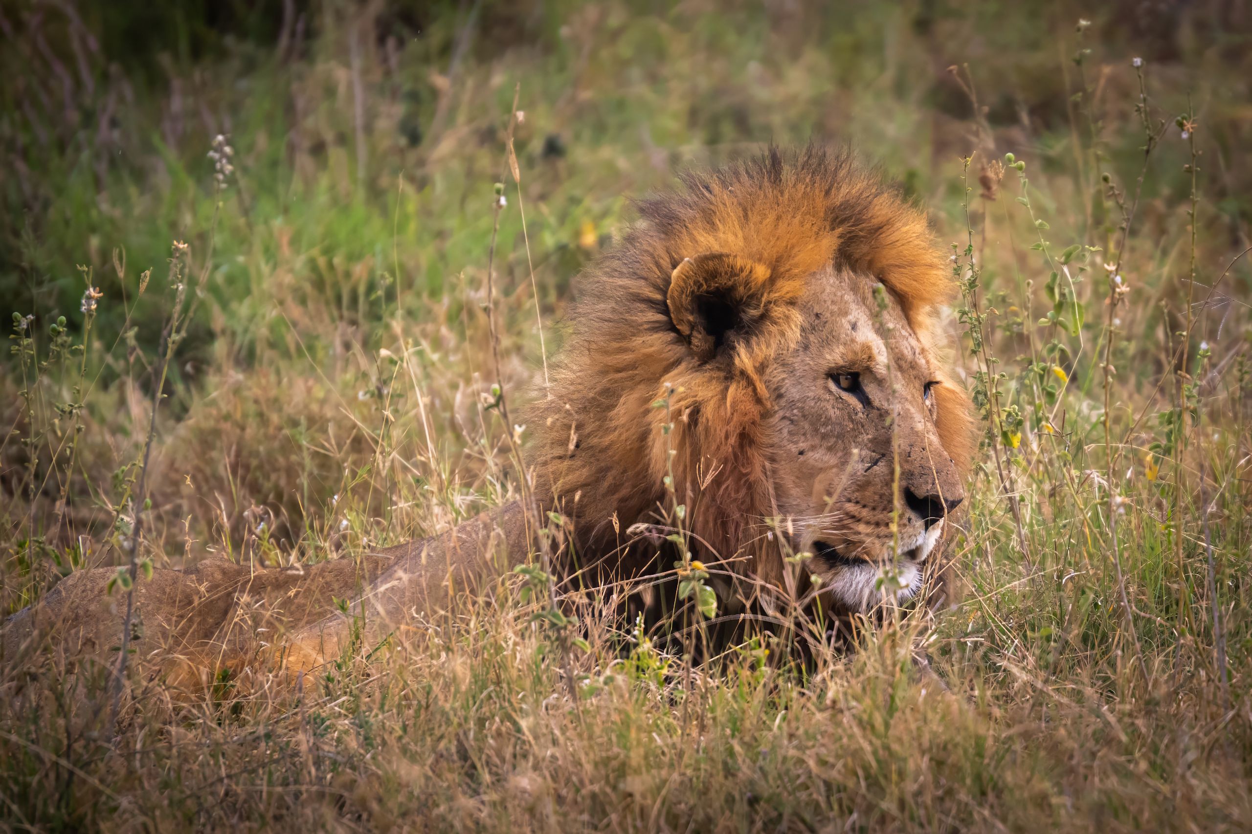 Tanzanie 2024 185