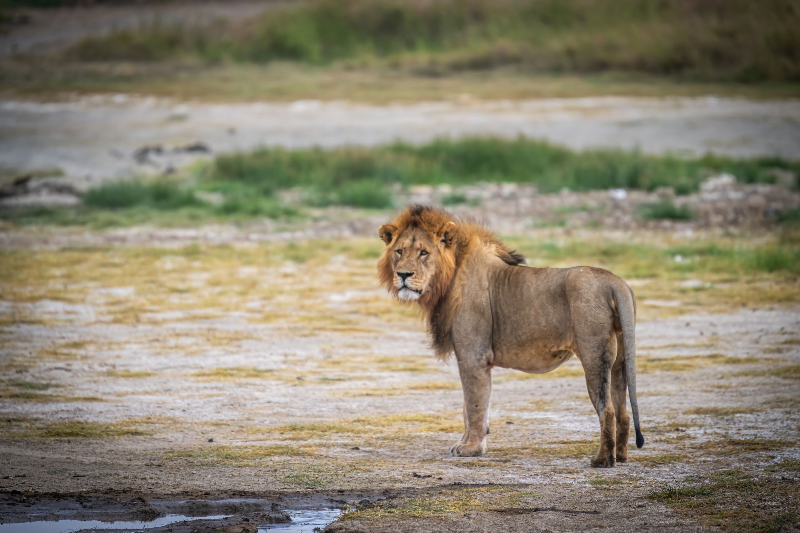 Tanzanie 2024 188