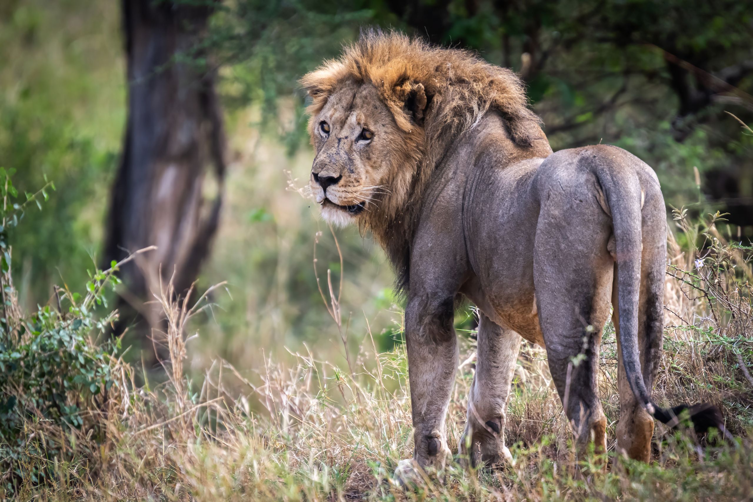 Tanzanie 2024 230