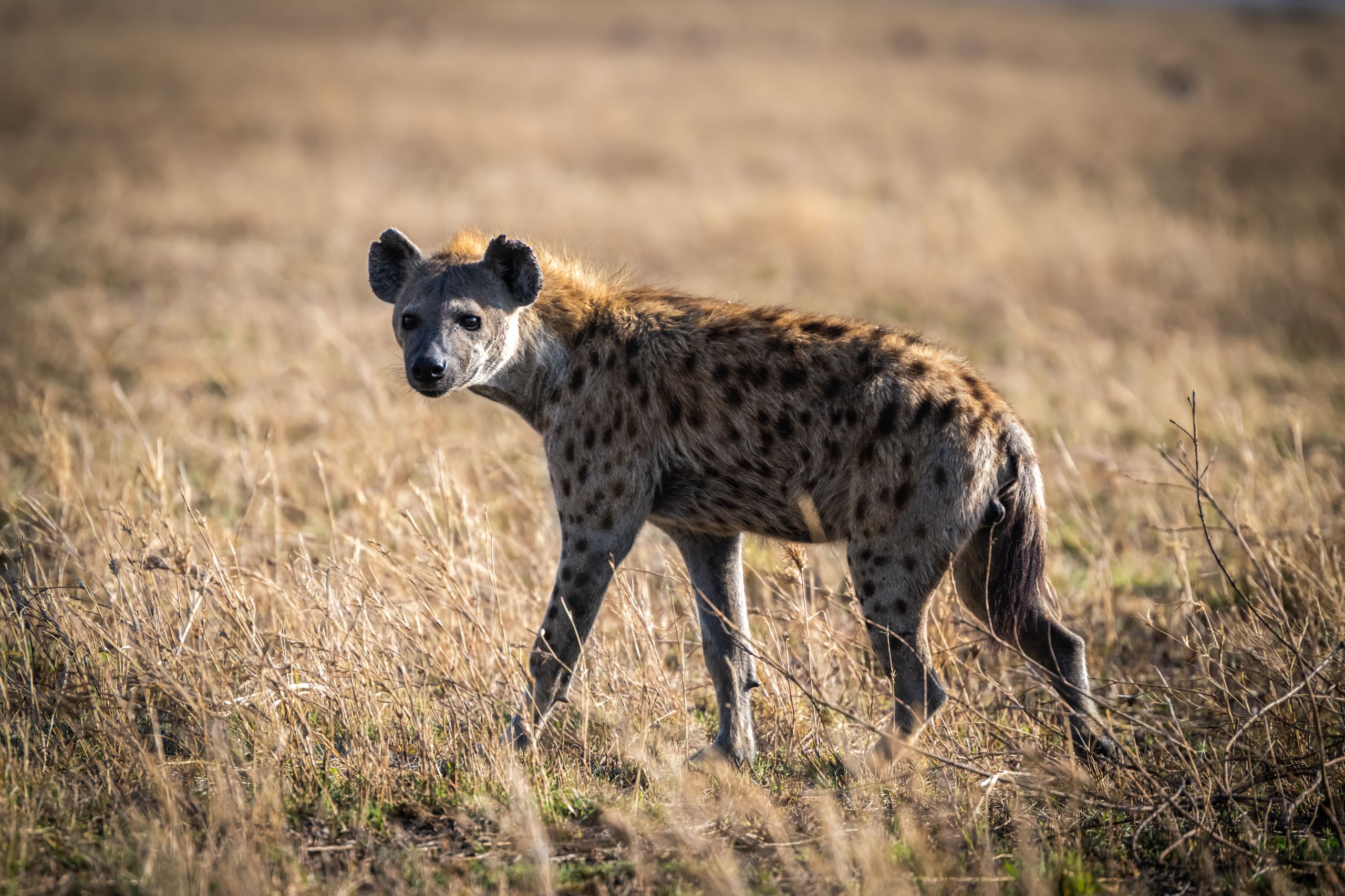 Tanzanie 2024 245