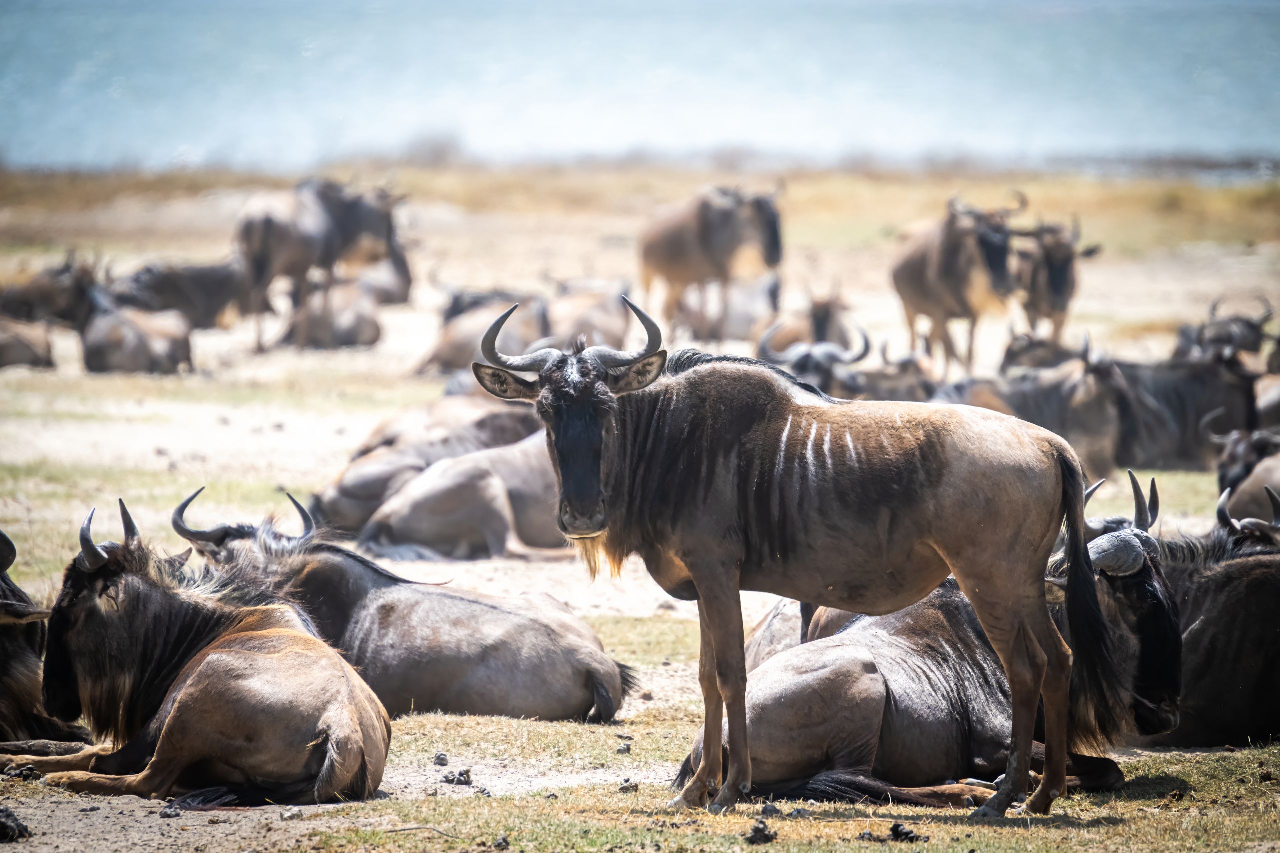 Tanzanie 2024 258