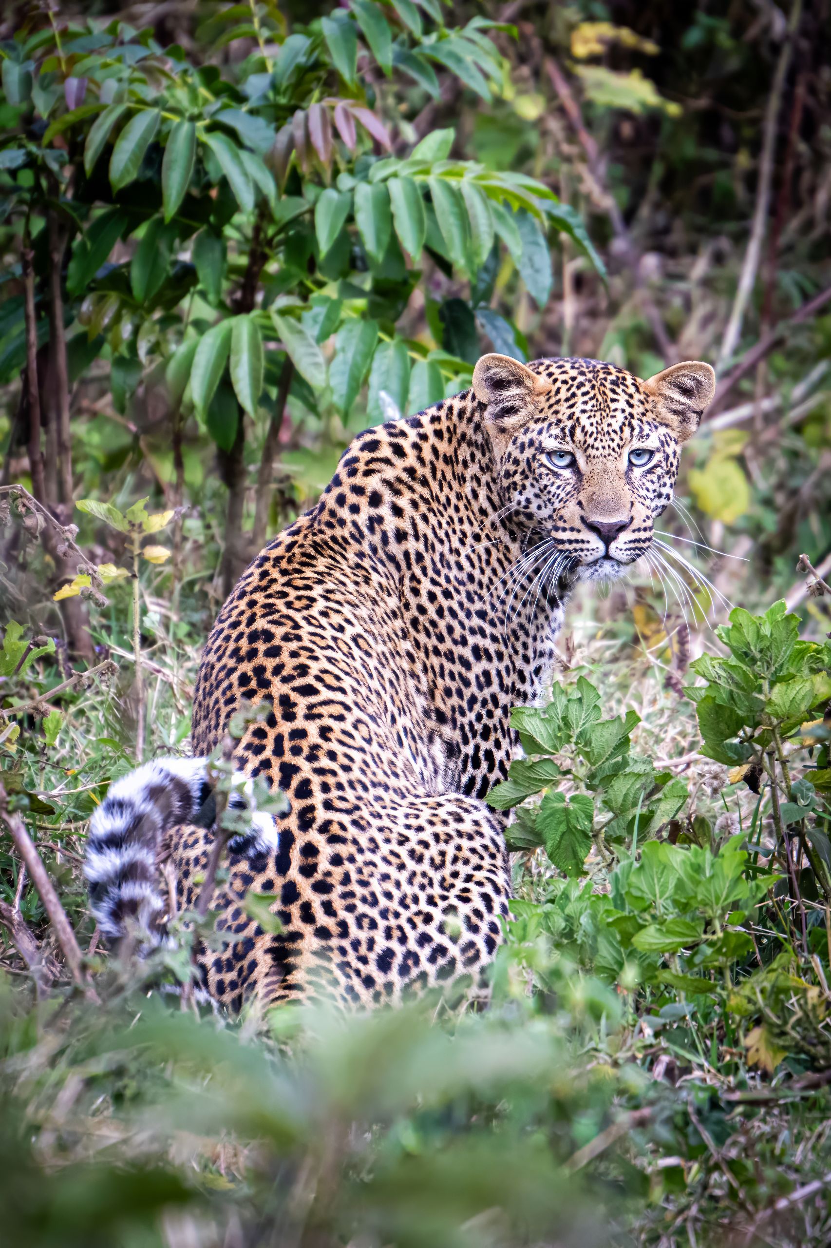 Tanzanie 2024 267