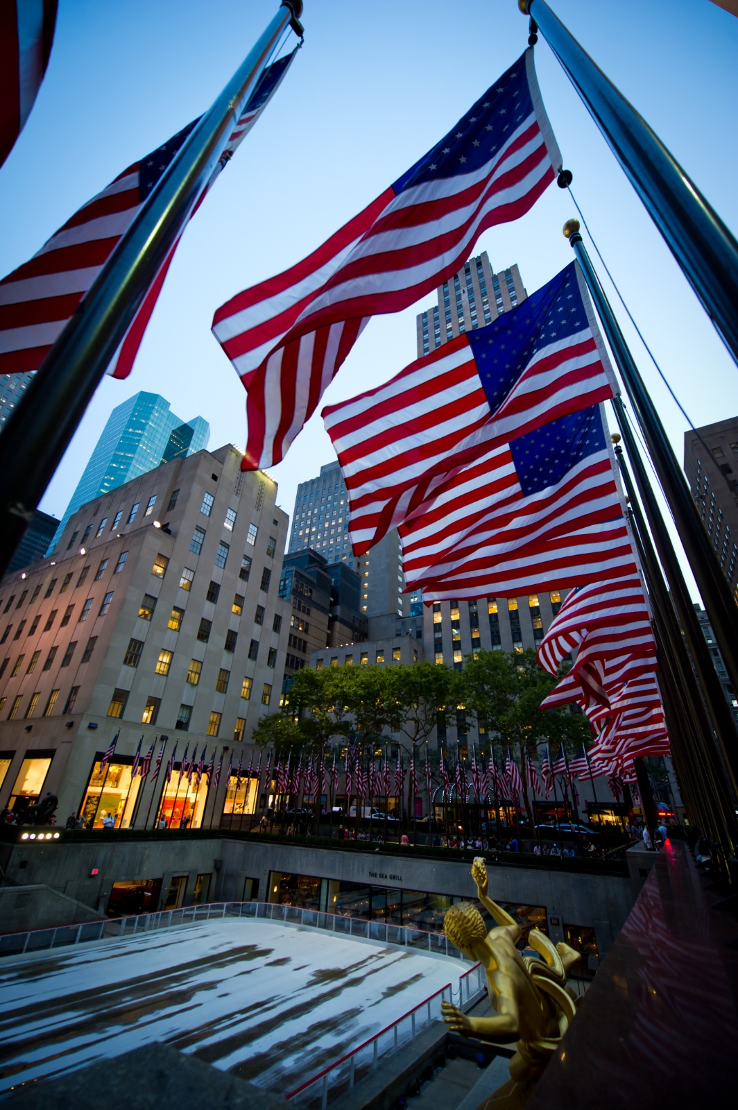 New york 117