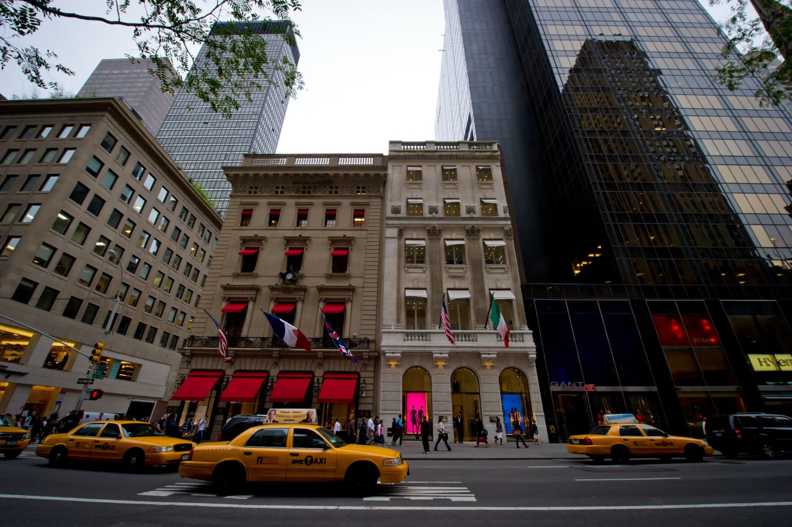 New york 44