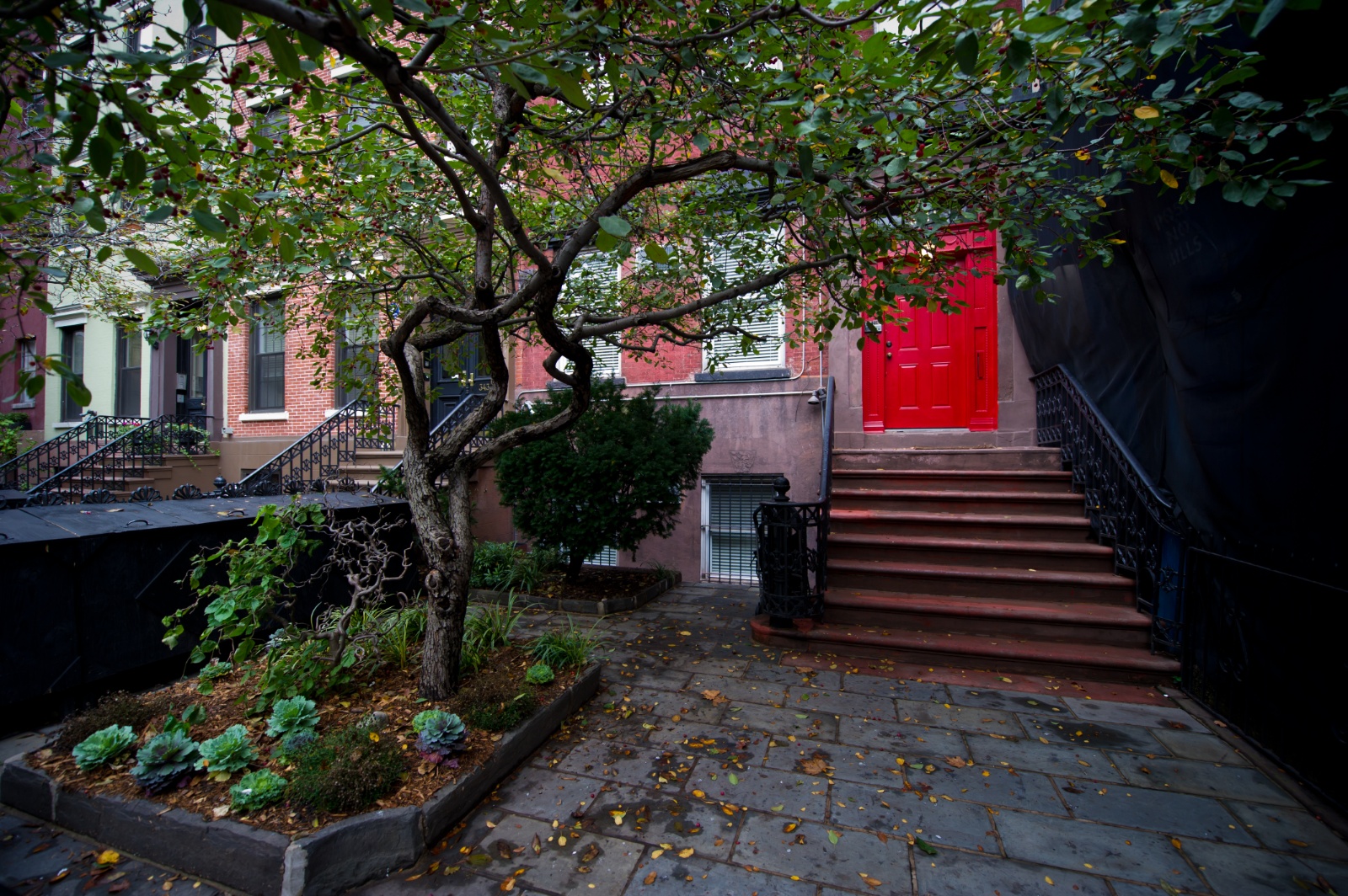 New york 492