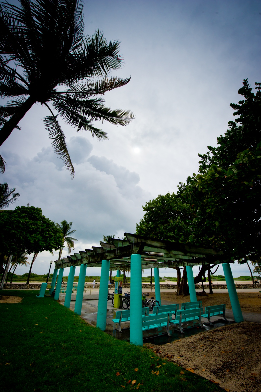 Miami 251