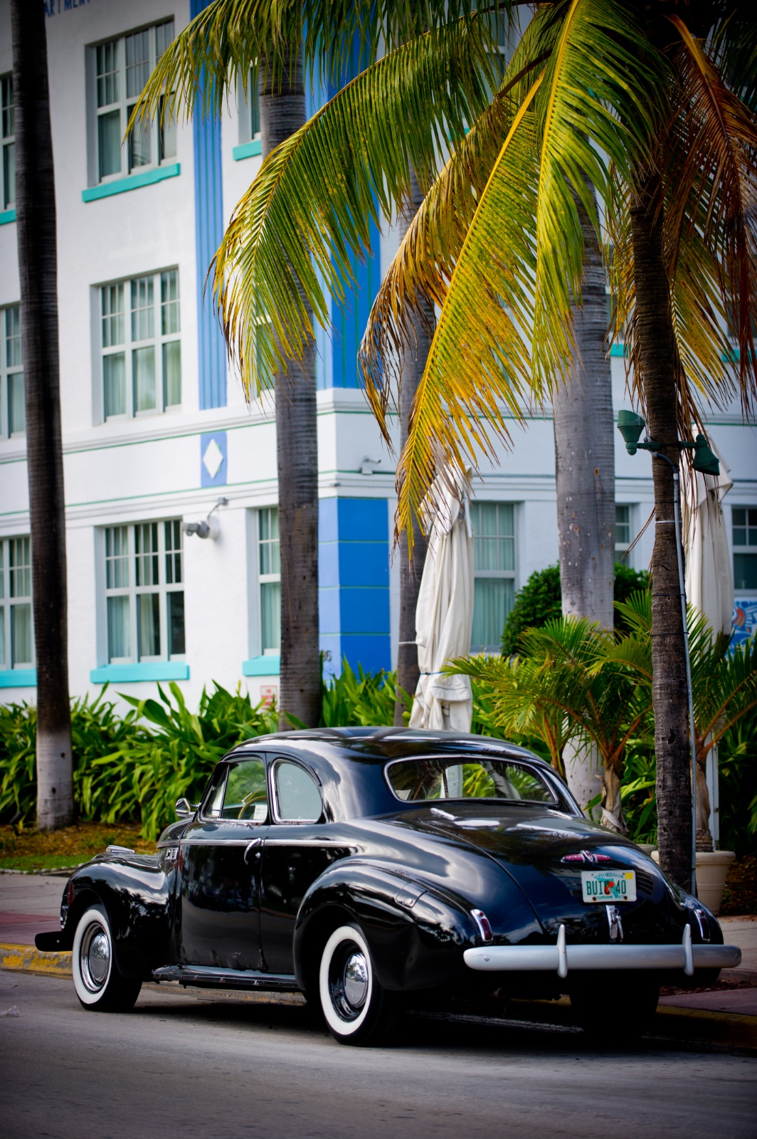 Miami 424
