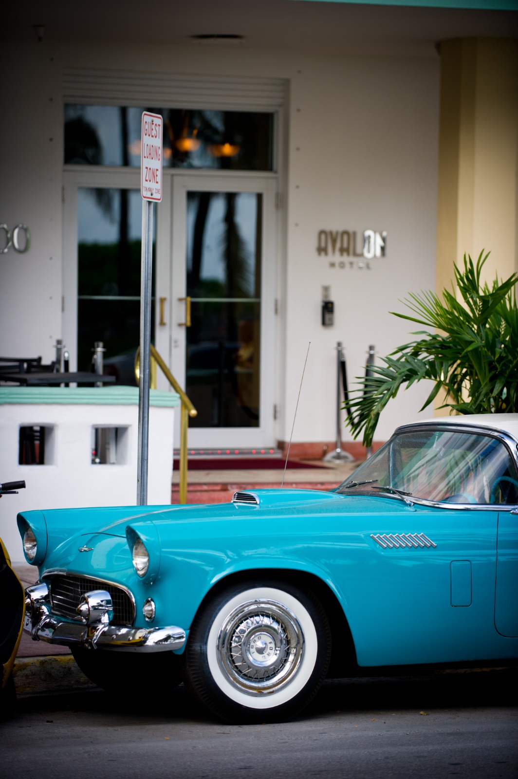 Miami 429