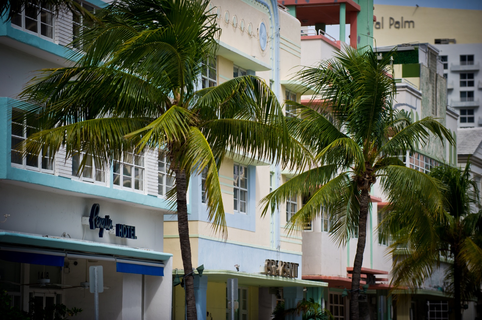 Miami 507
