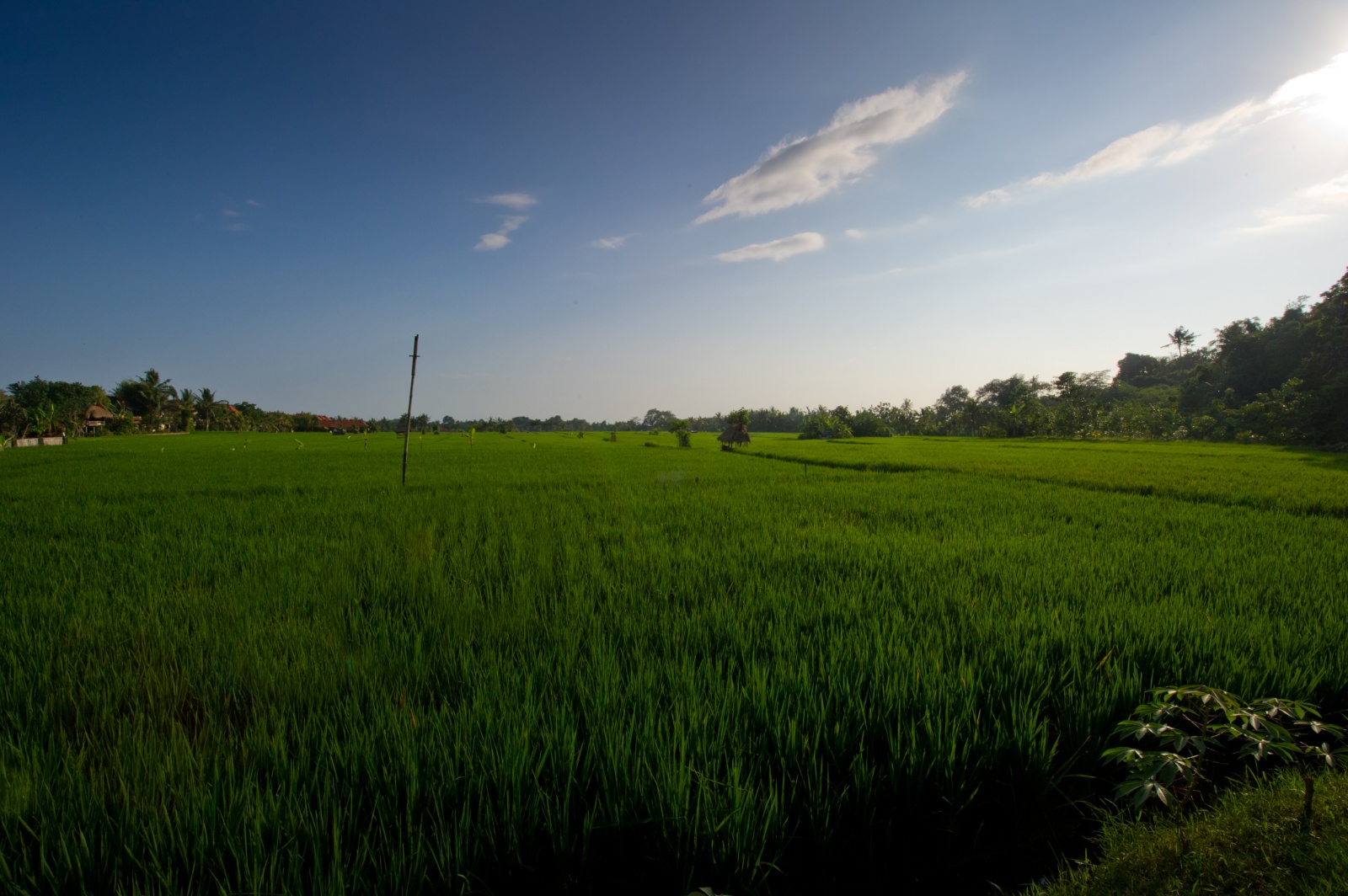Bali 2010 126