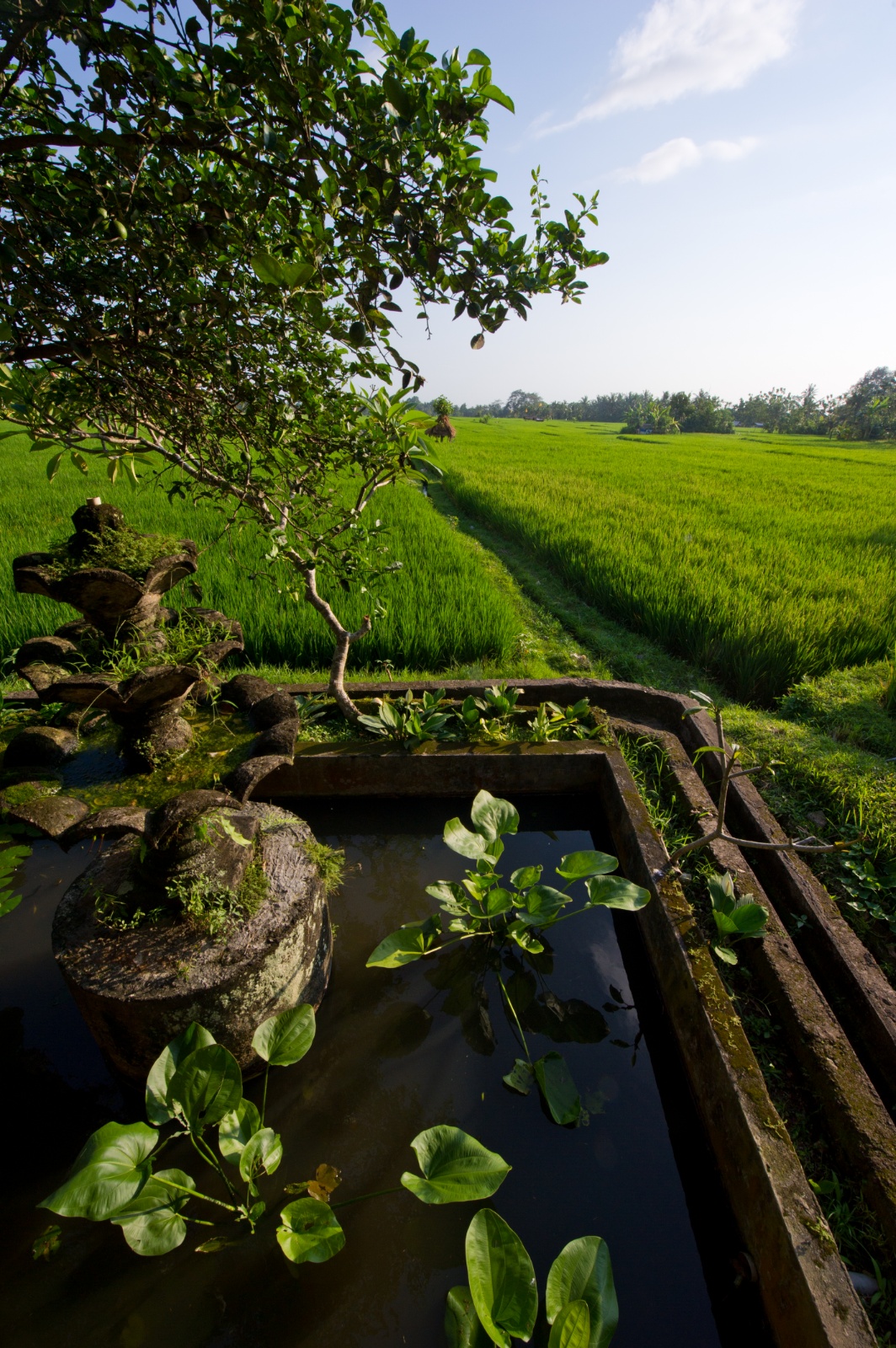 Bali 2010 127