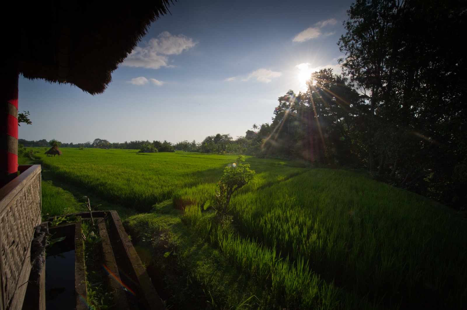 Bali 2010 128