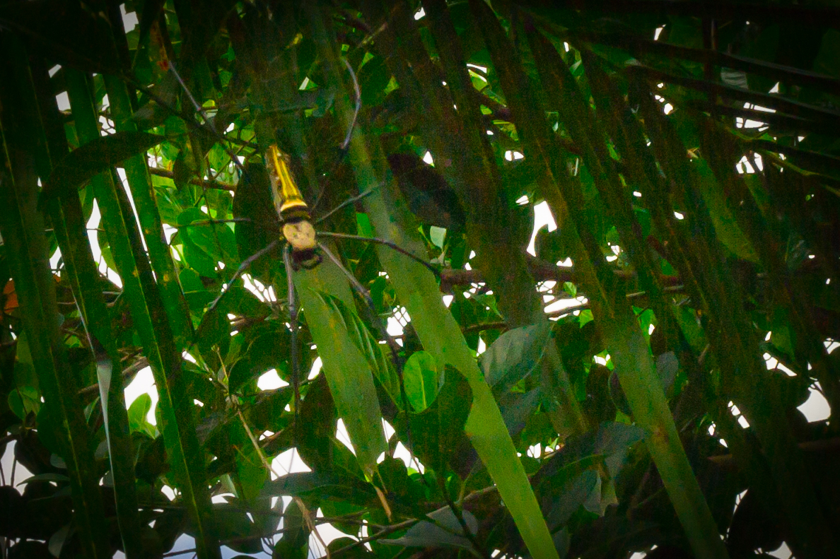 Bali 2010 149