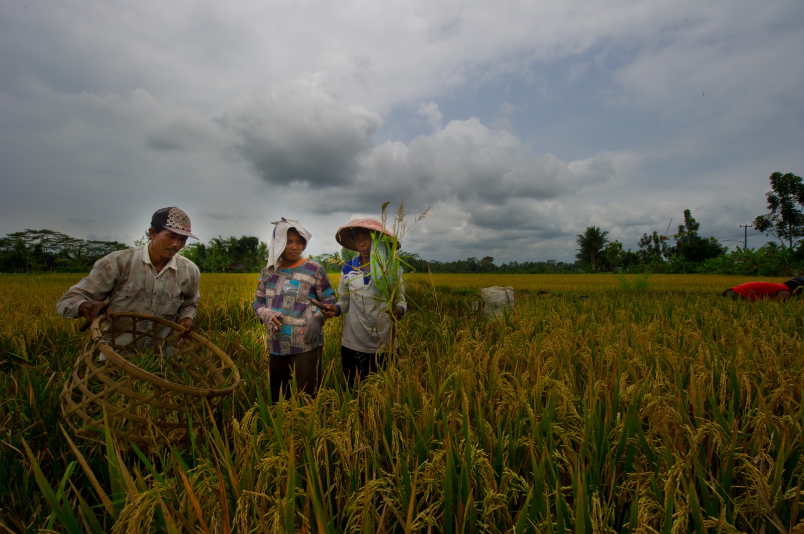 Bali 2010 179