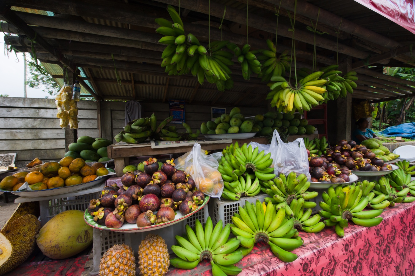 Bali 2010 180