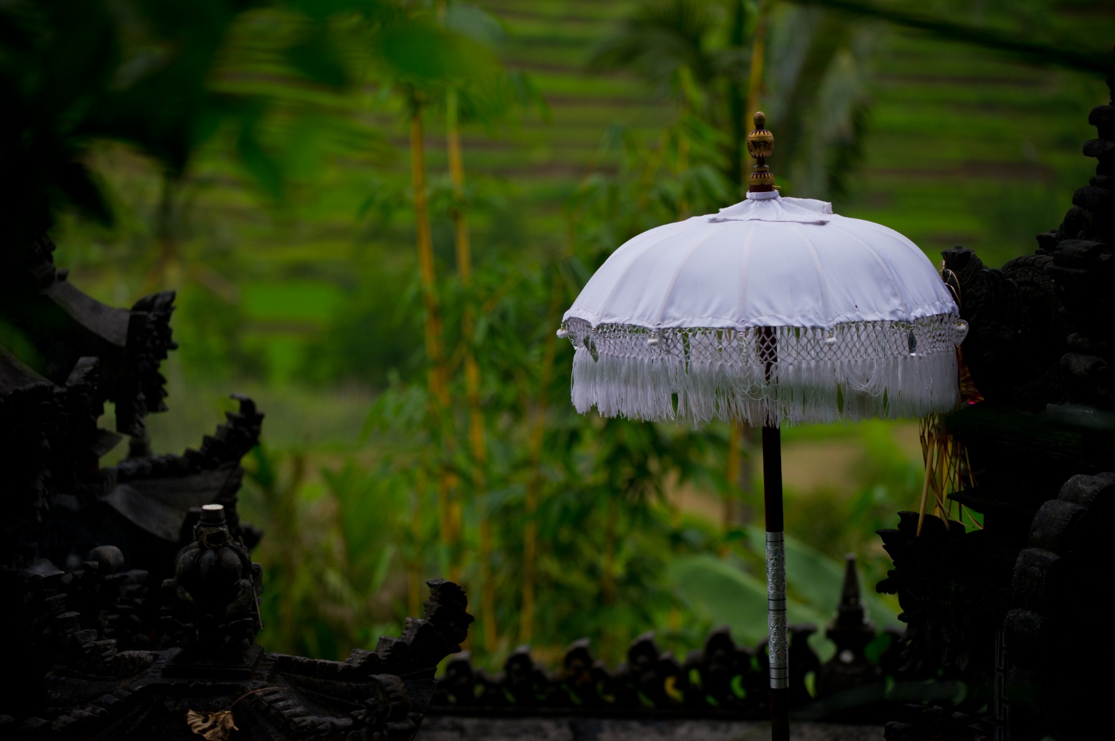 Bali 2010 185