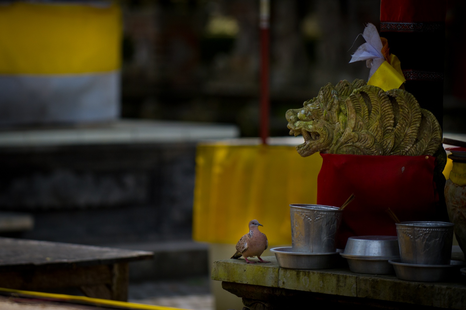 Bali 2010 195