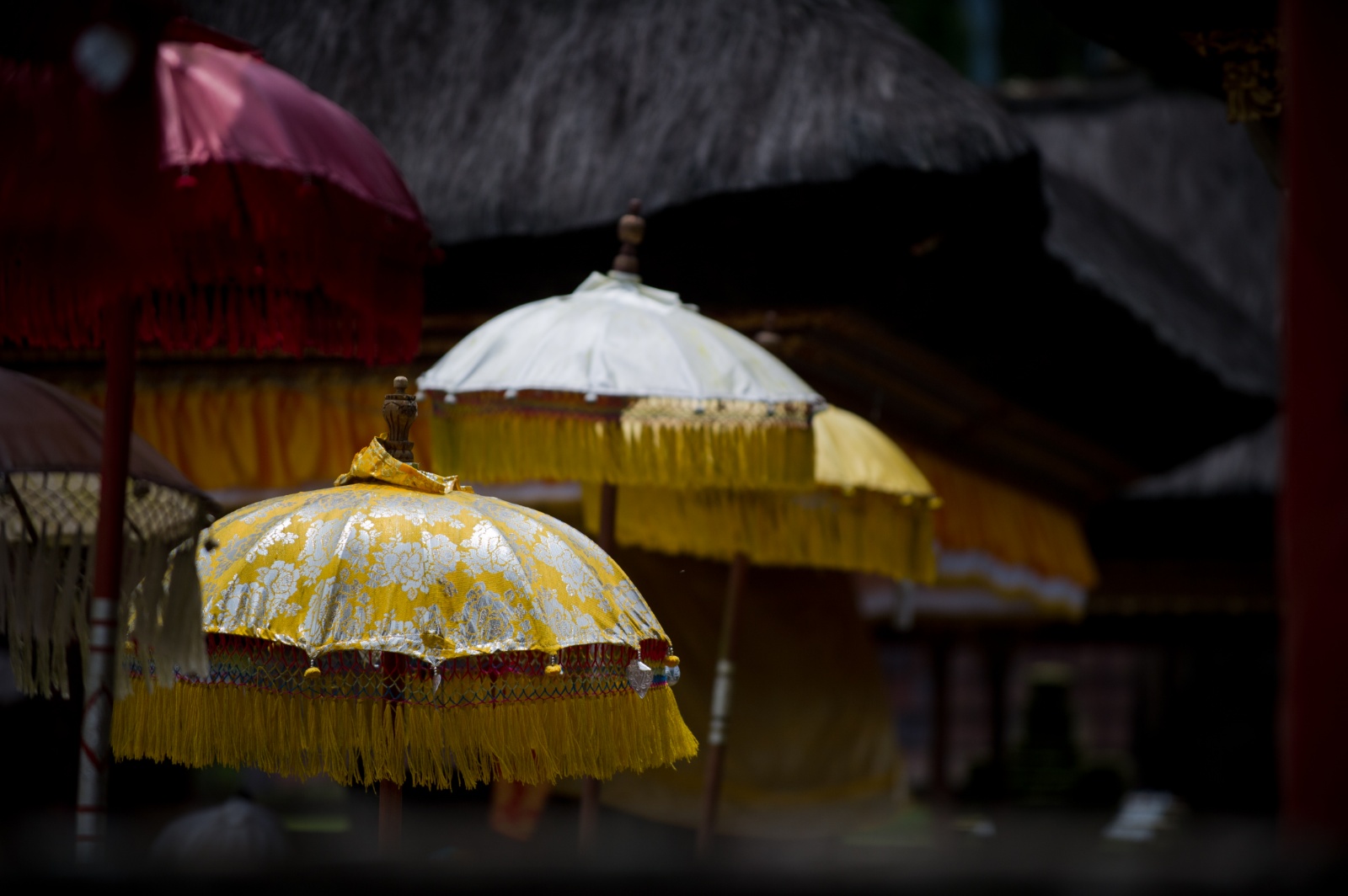 Bali 2010 197