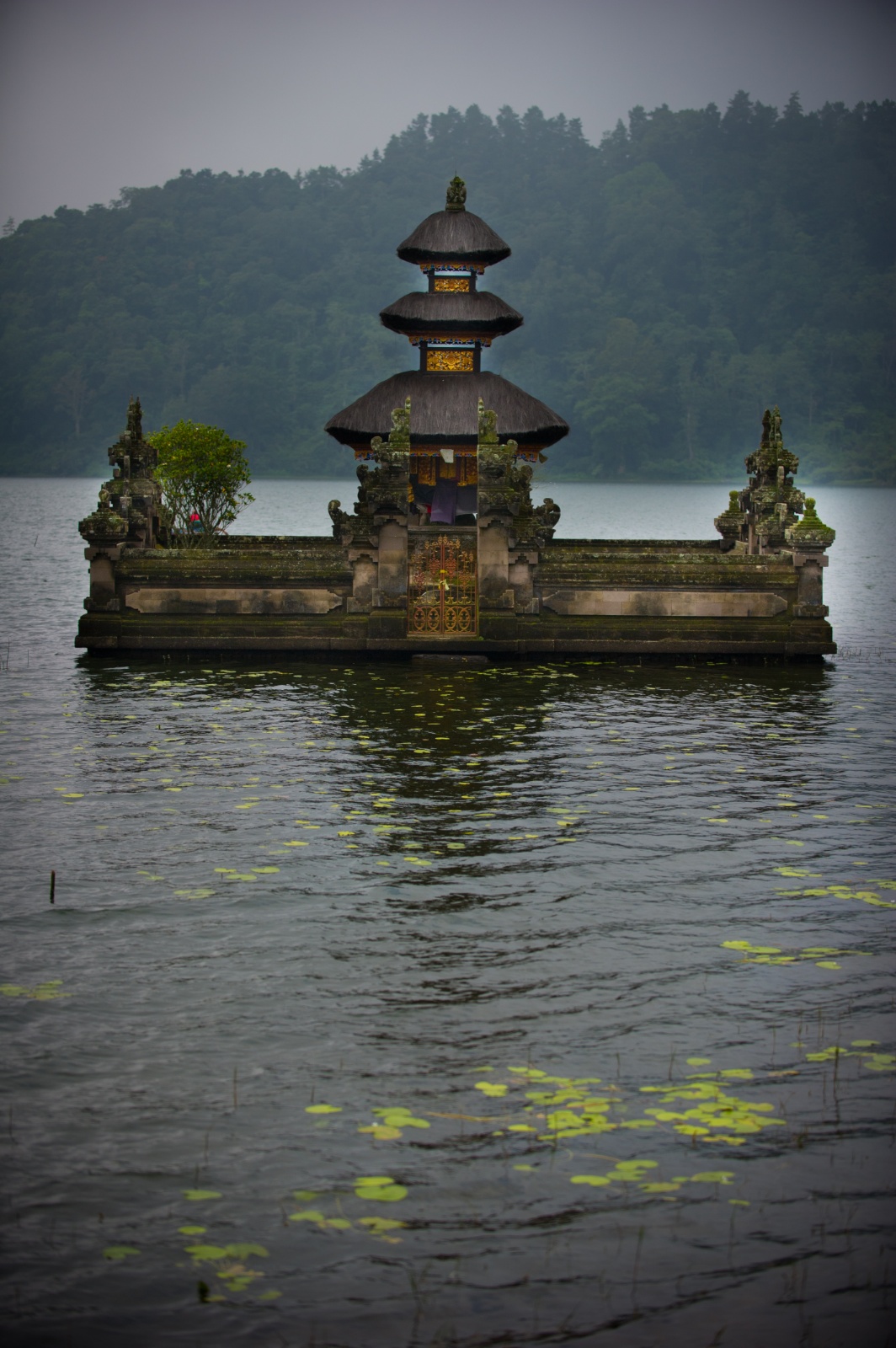 Bali 2010 198