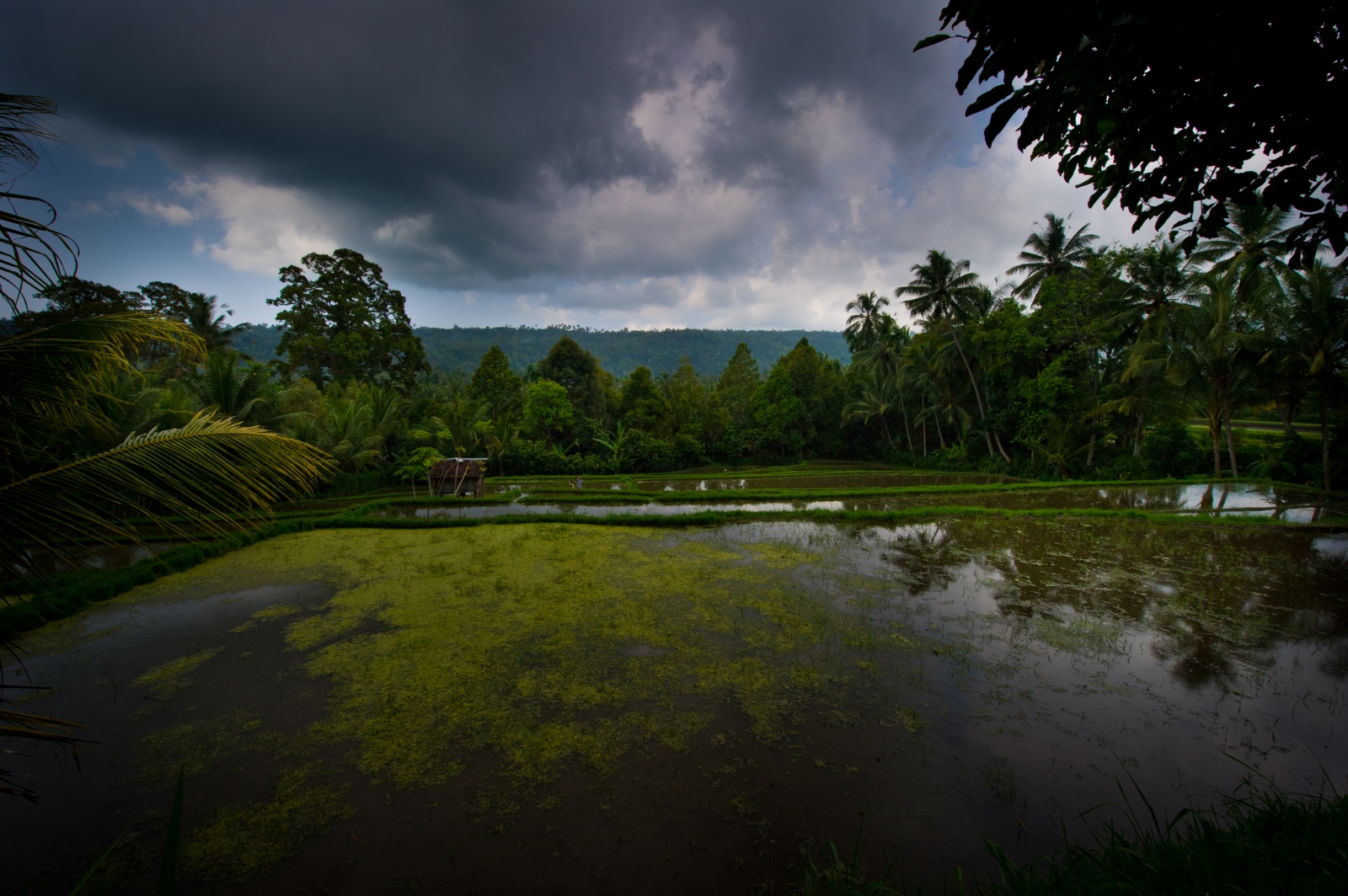 Bali 2010 202