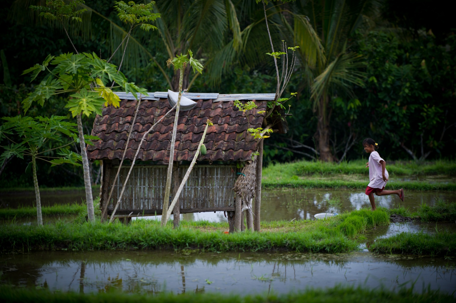 Bali 2010 203