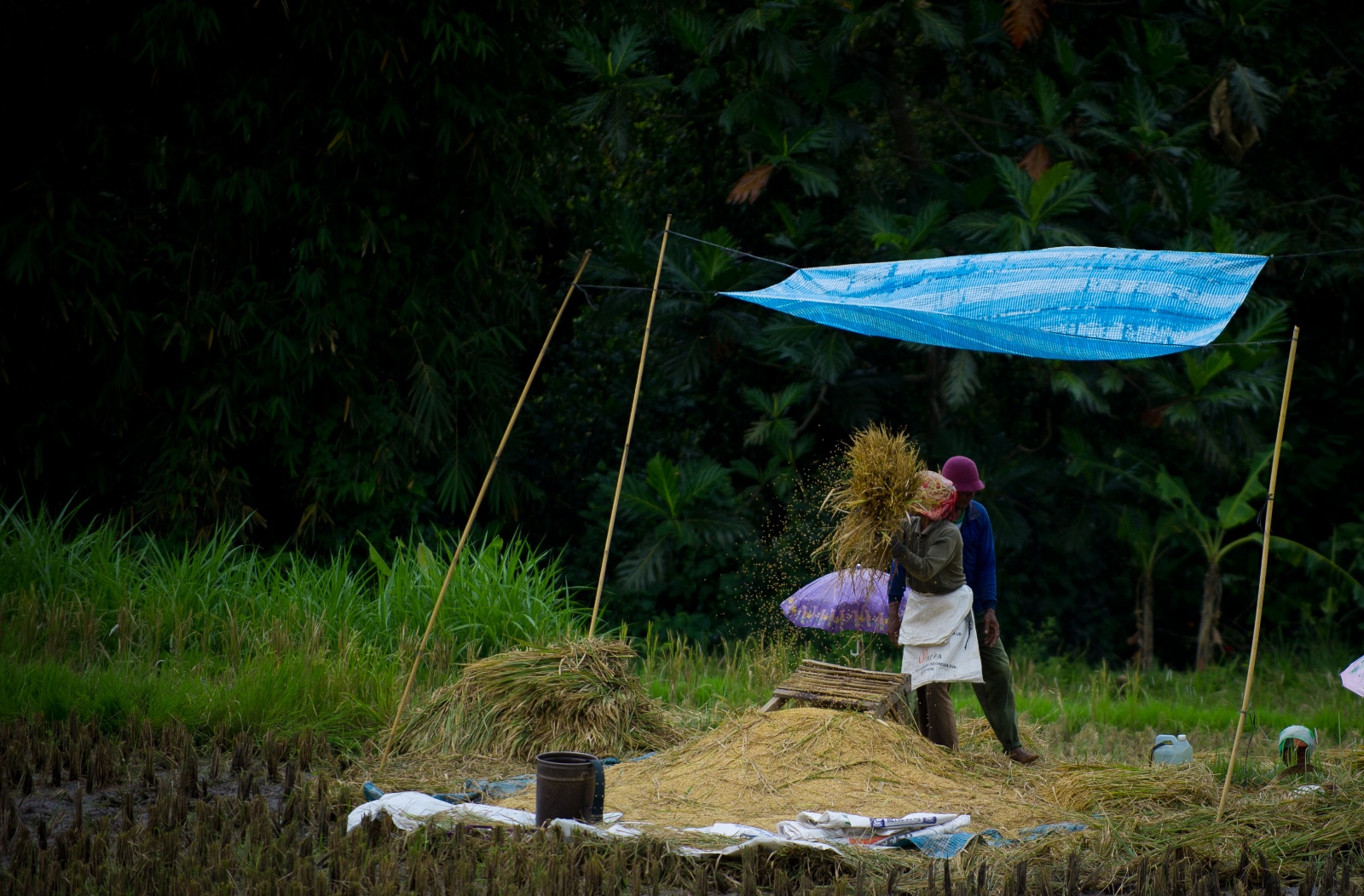 Bali 2010 236