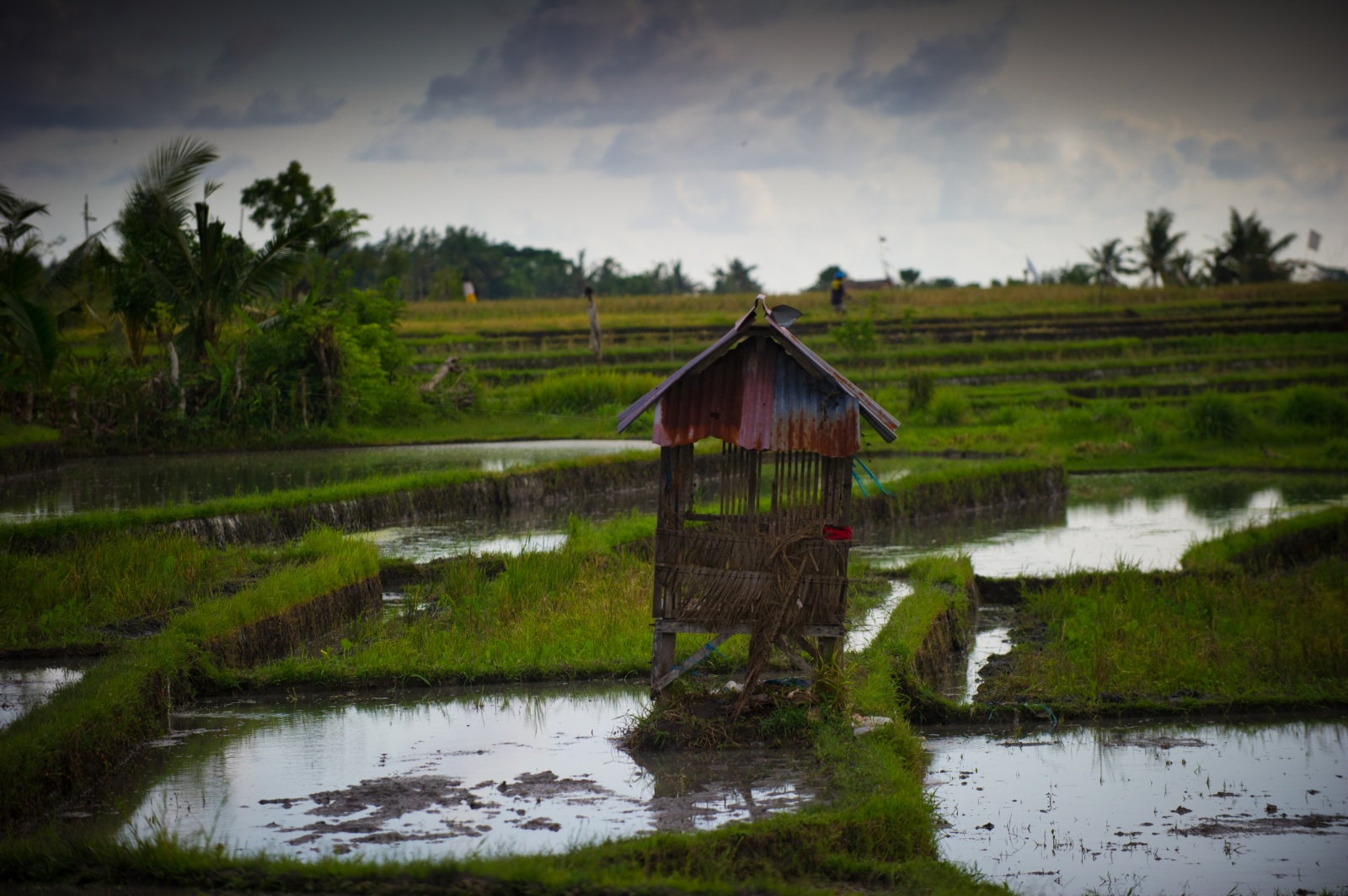 Bali 2010 252