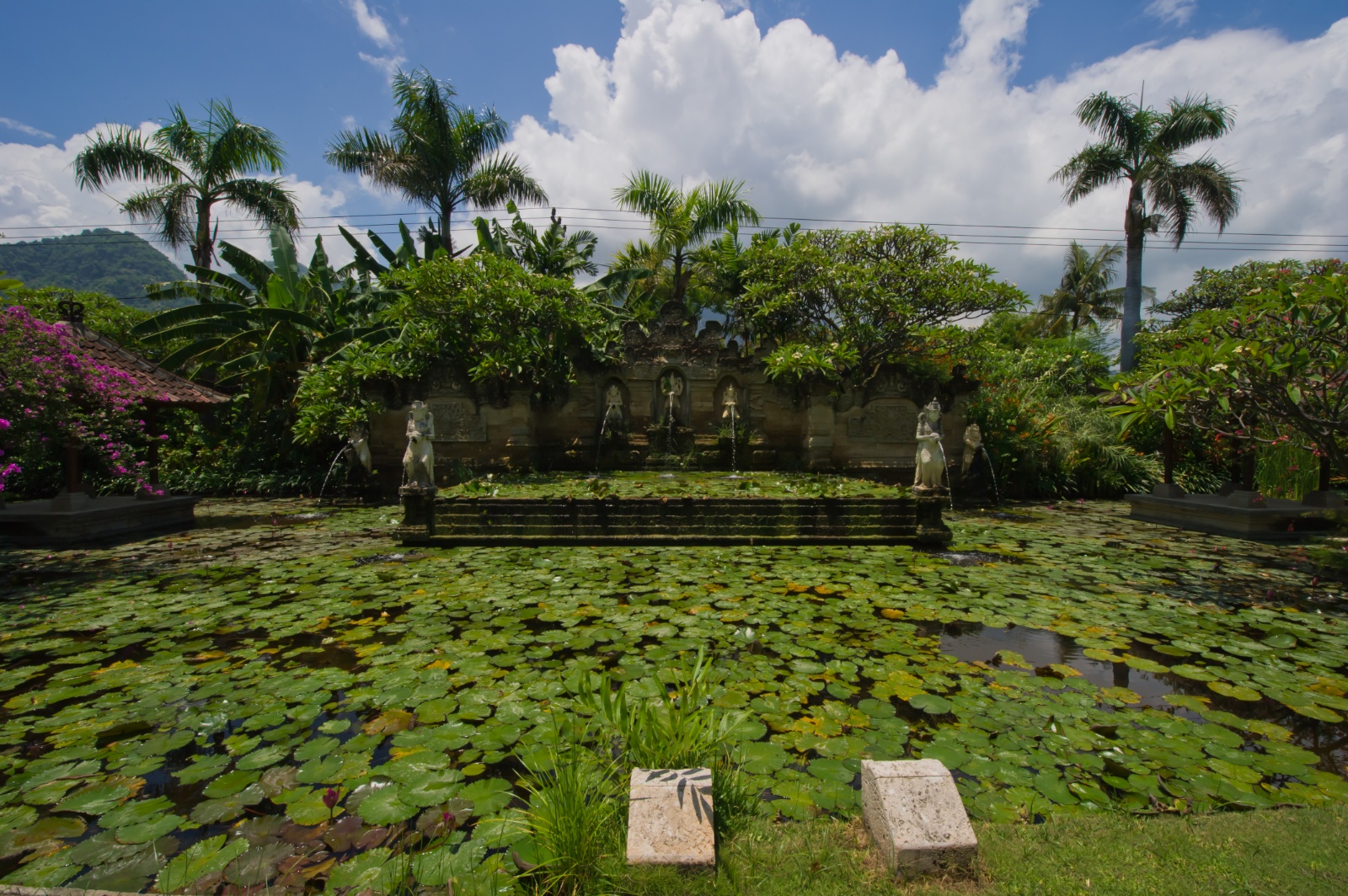 Bali 2010 254