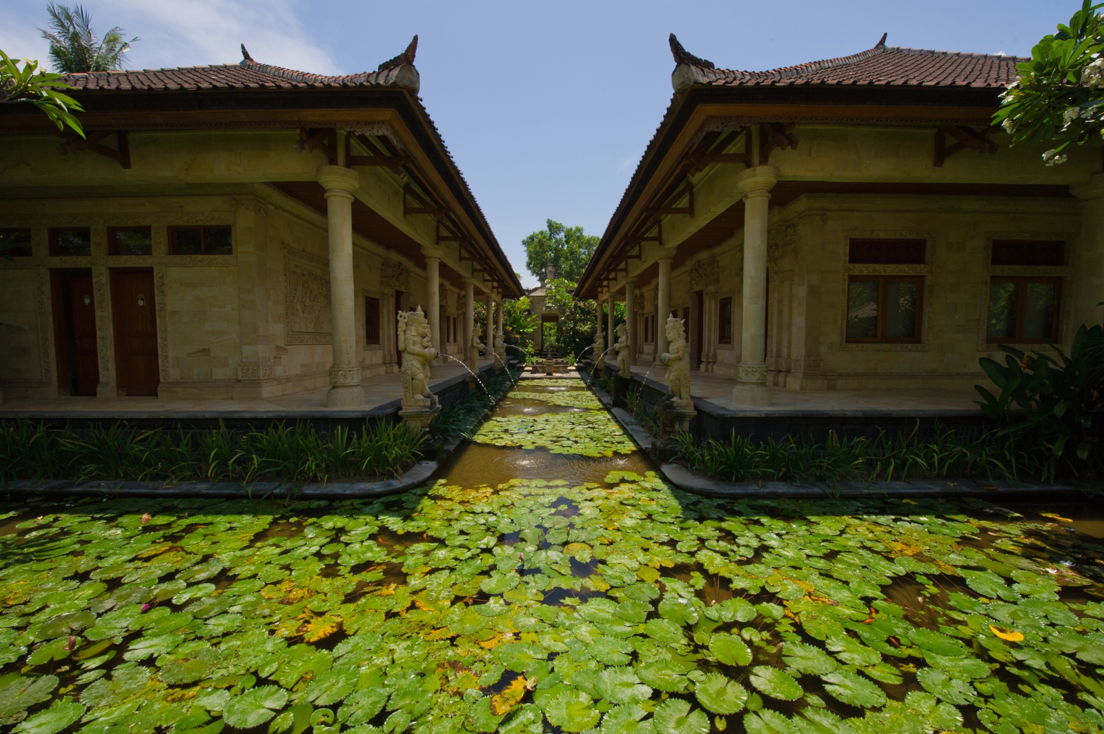 Bali 2010 276
