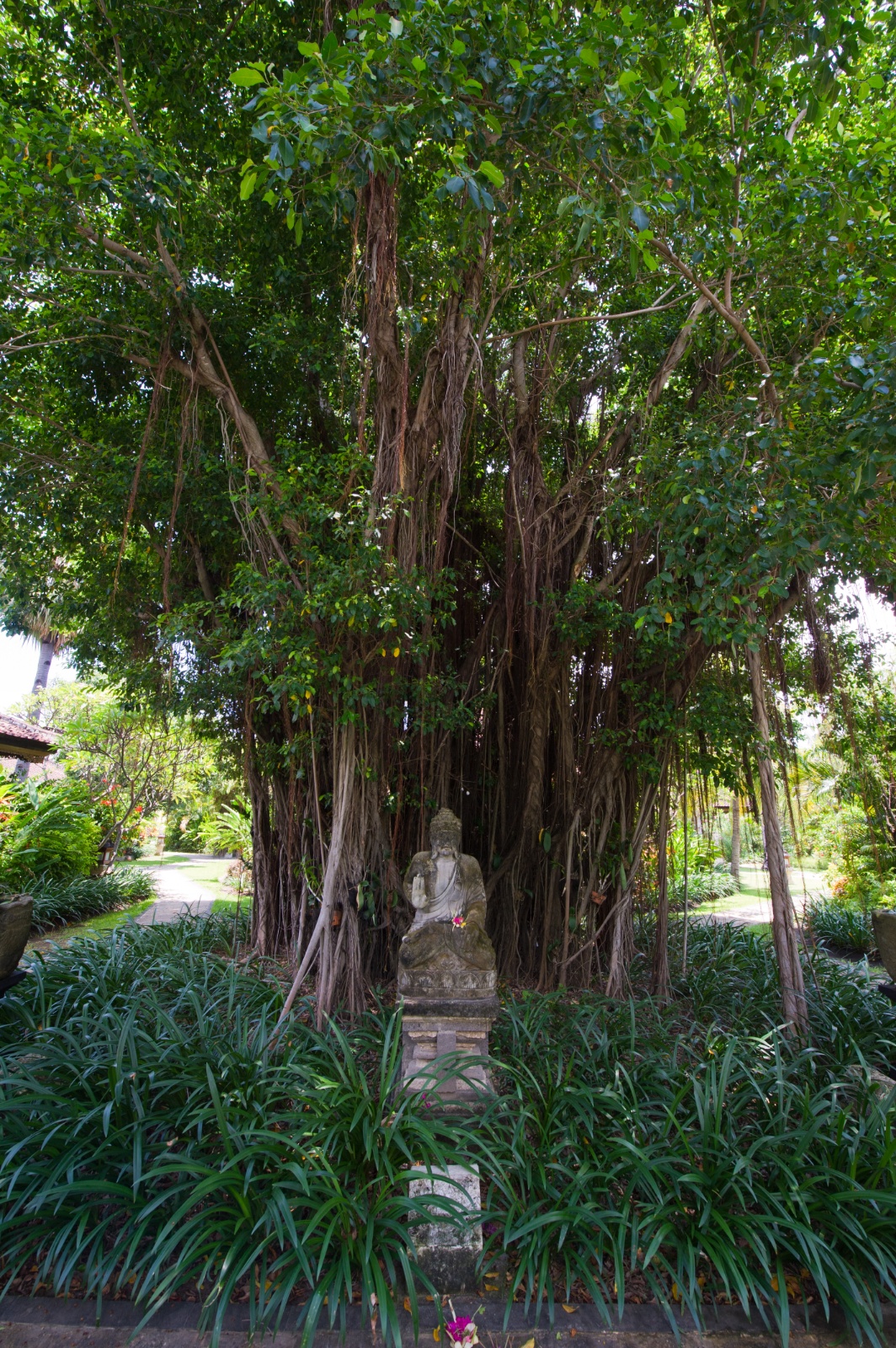 Bali 2010 280