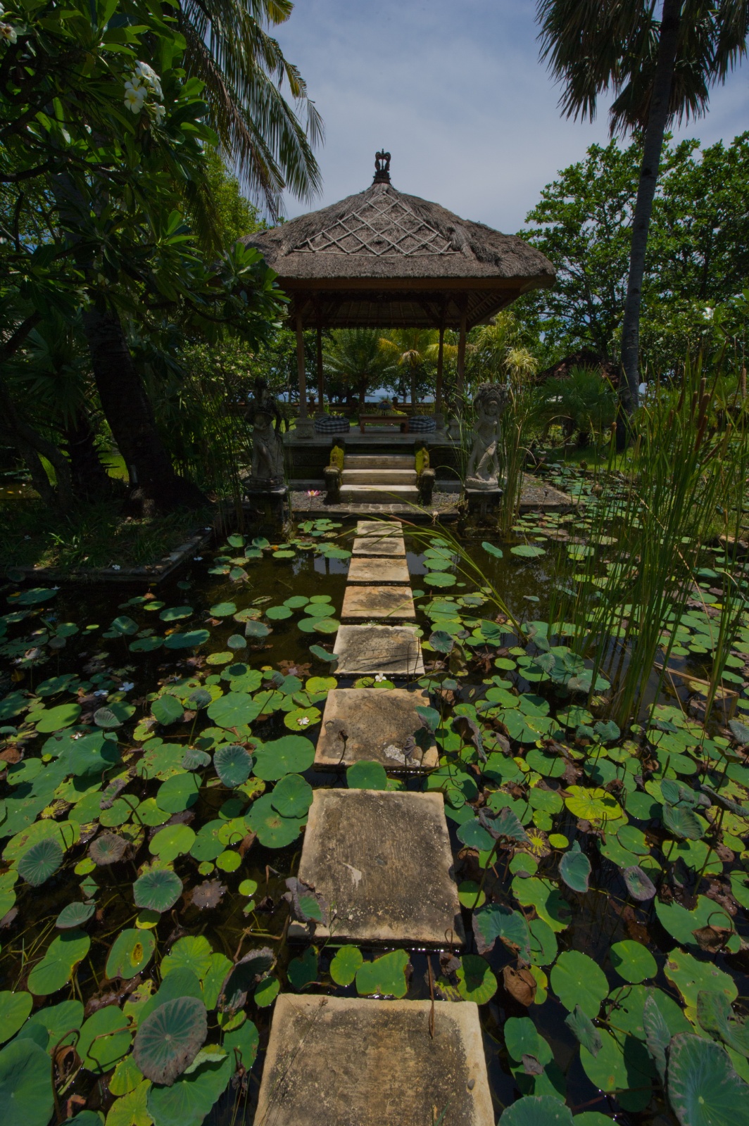 Bali 2010 286