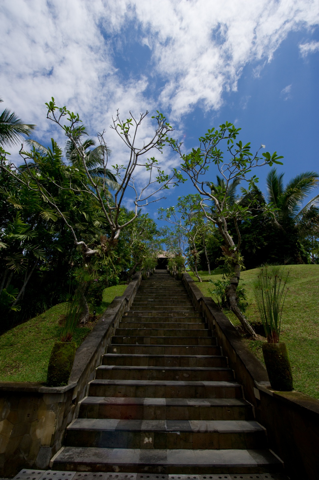 Bali 2010 29