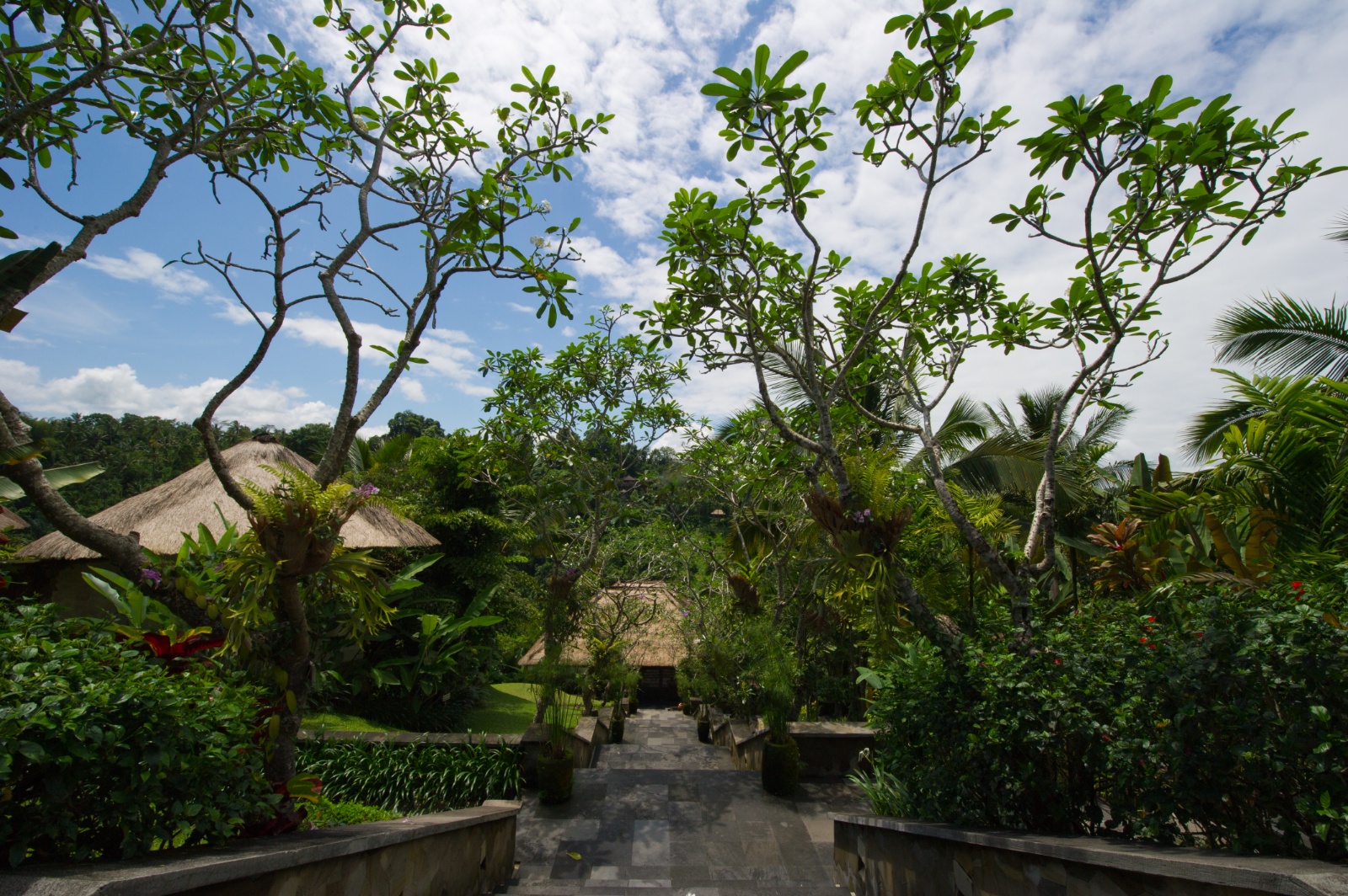 Bali 2010 31
