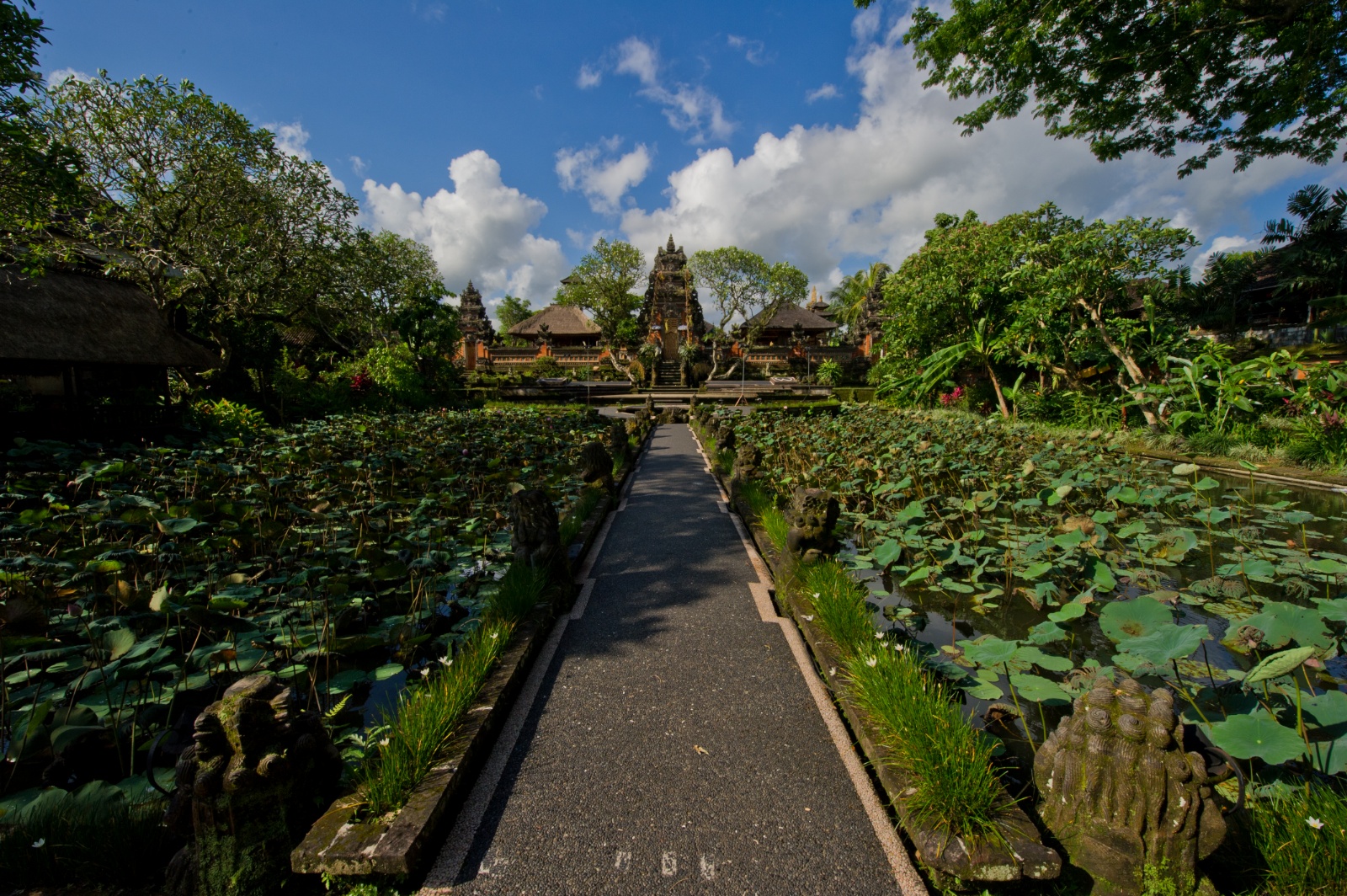 Bali 2010 80