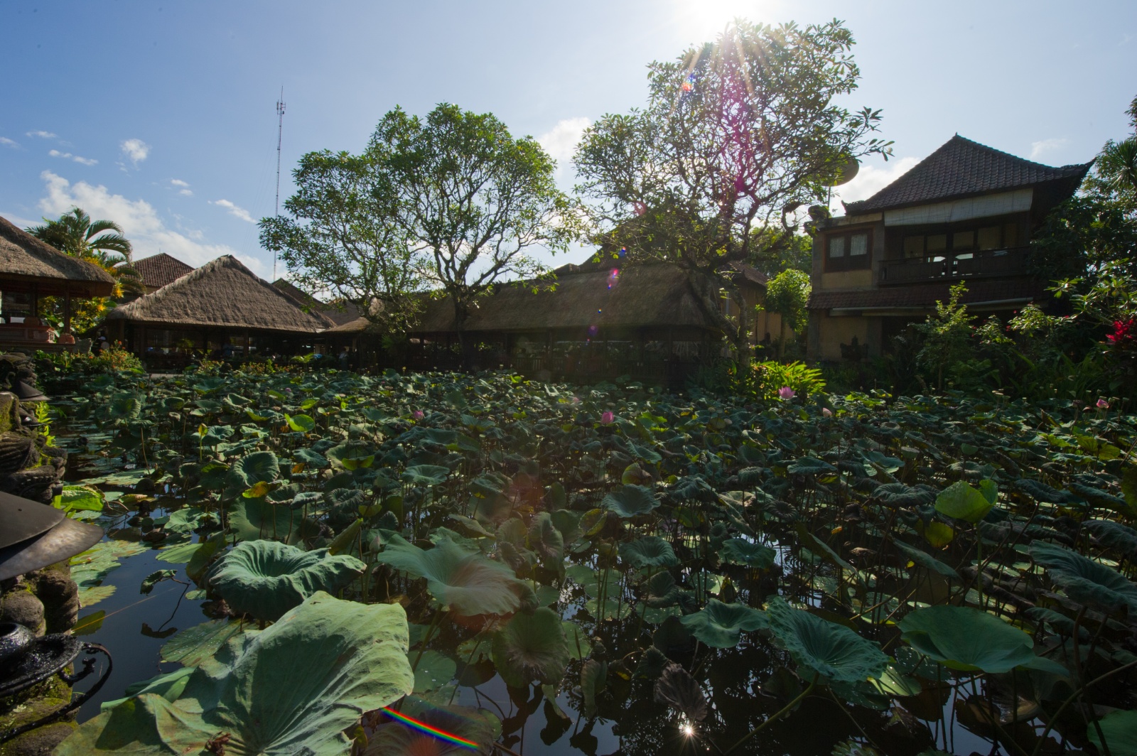 Bali 2010 82