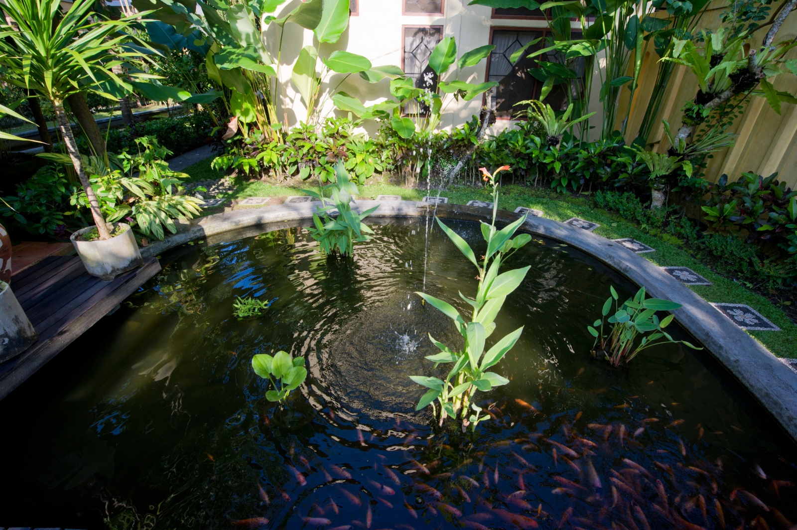 Bali 2010 89