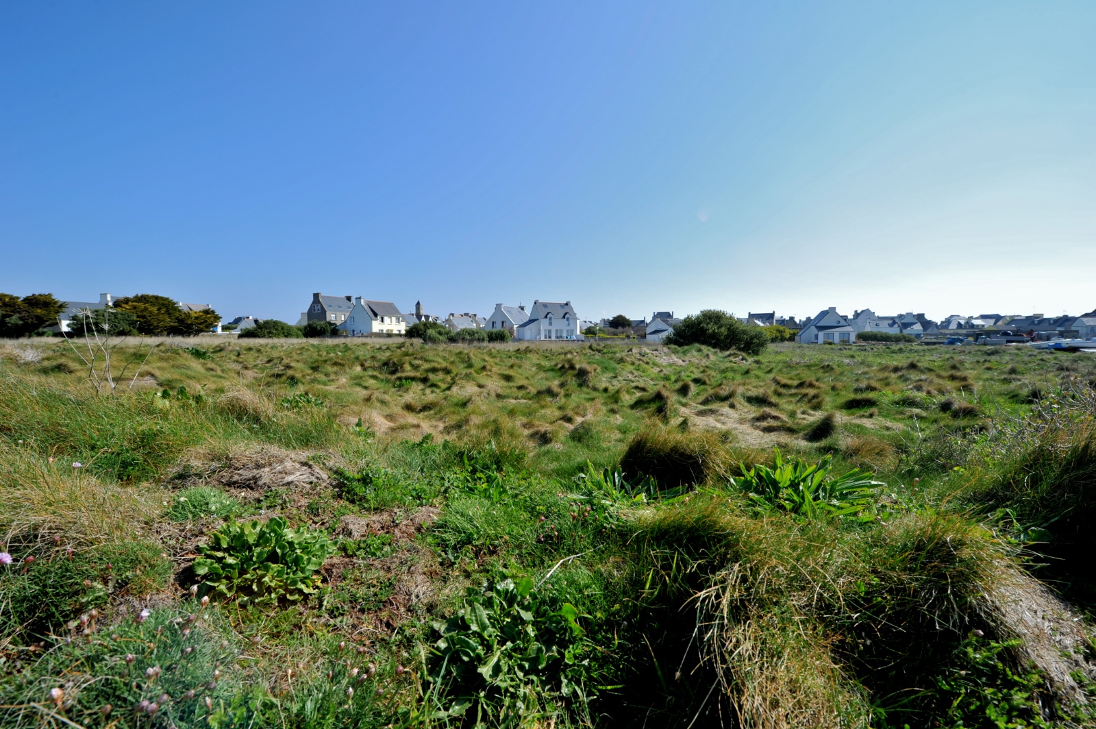 Ile de Sein - 14