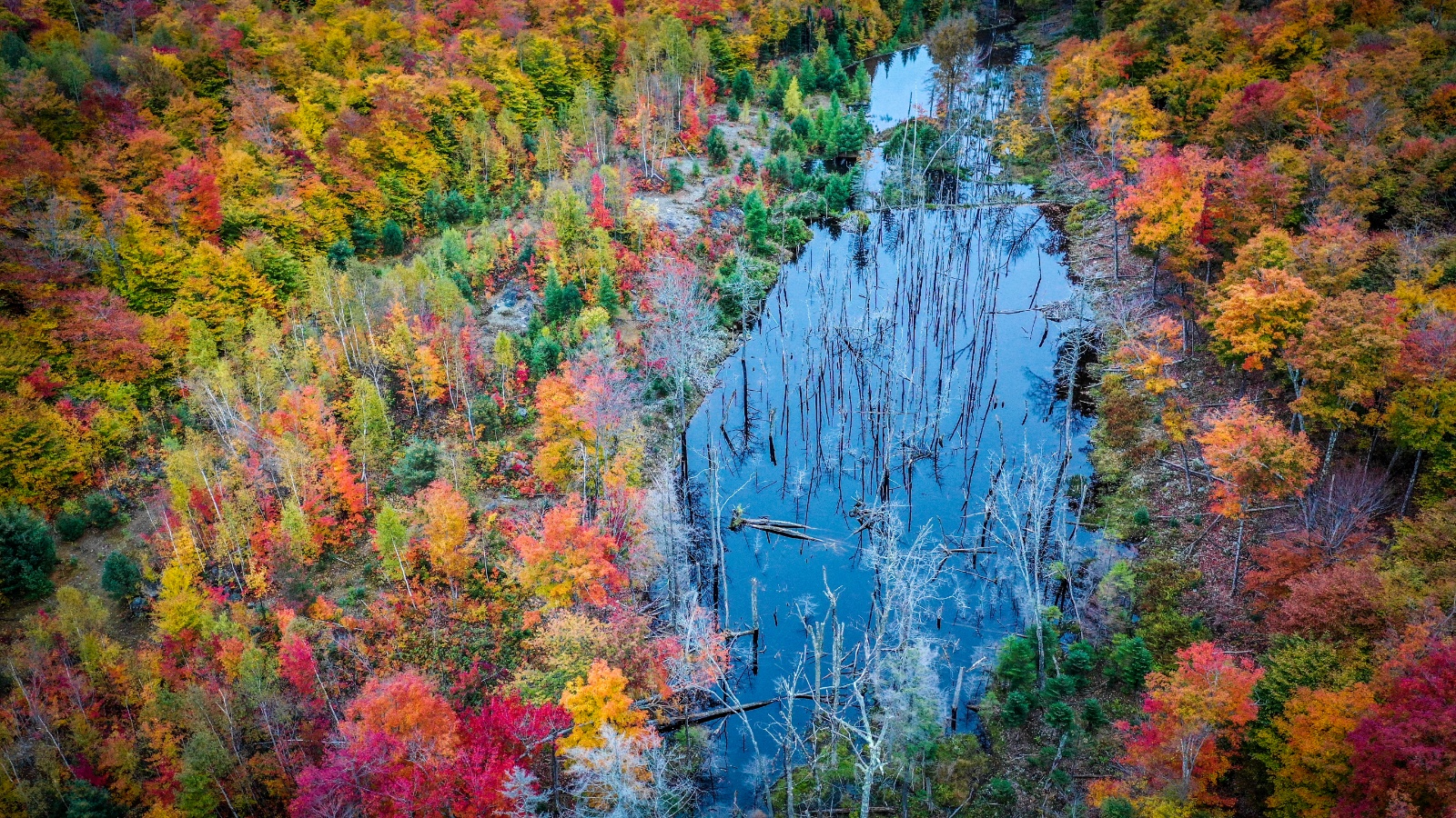 Canada 2018 drone 014