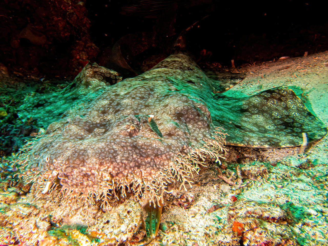 Raja4Divers plongee 015 2022 by Luca Carmagnola
