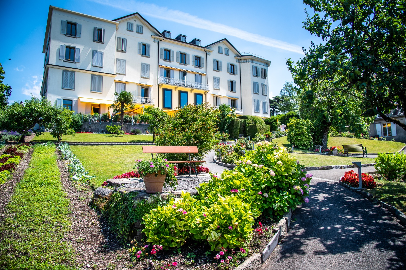 BonRivage Jardin juin18 003