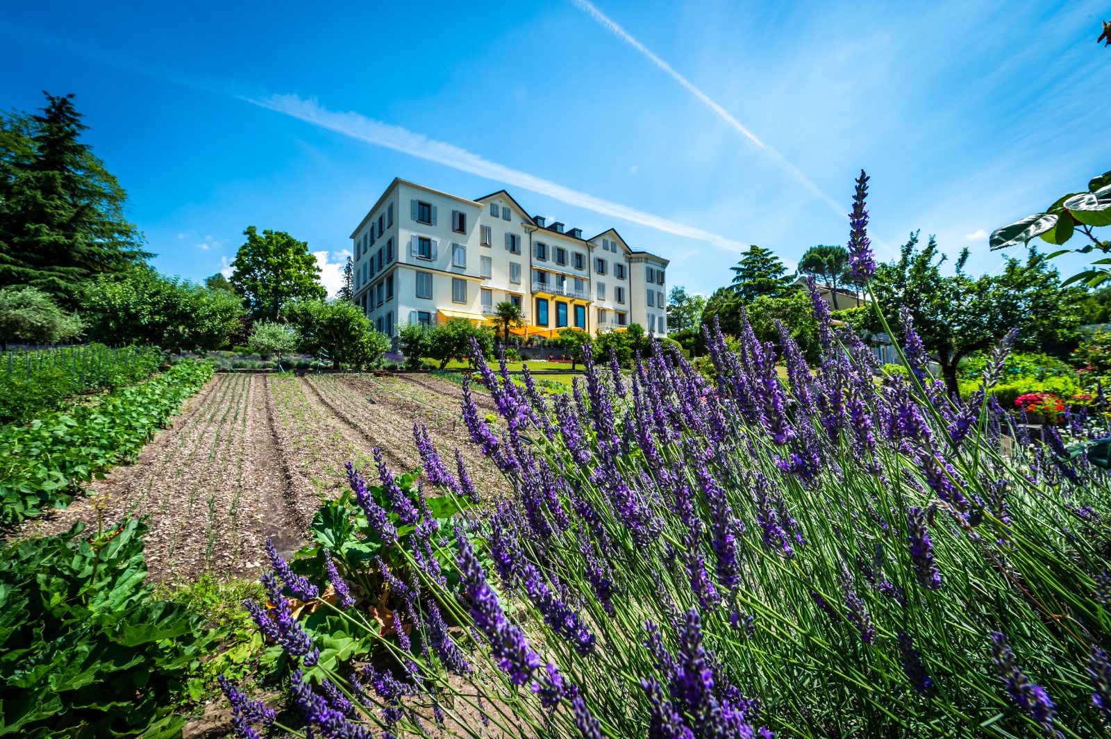 BonRivage Jardin juin18 043