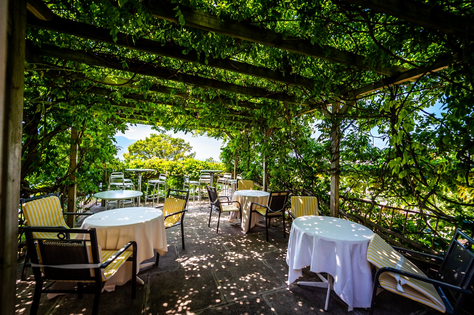 BonRivage Jardin juin18 050