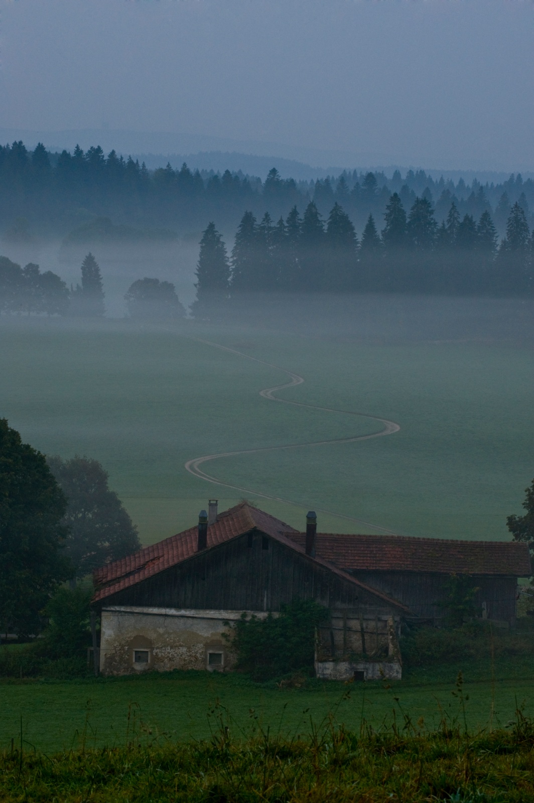 Animan jura 014