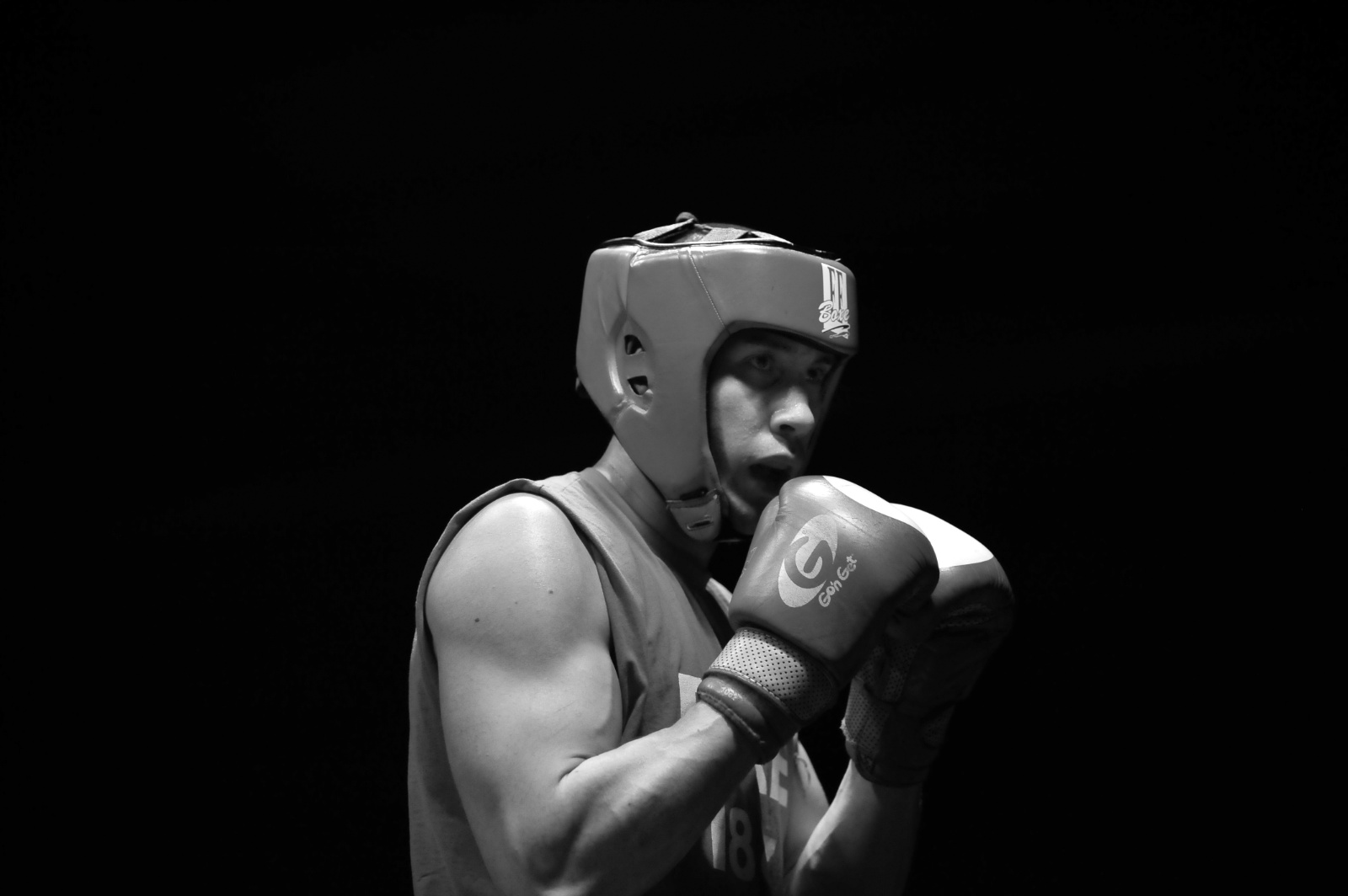 Gala boxe09 320