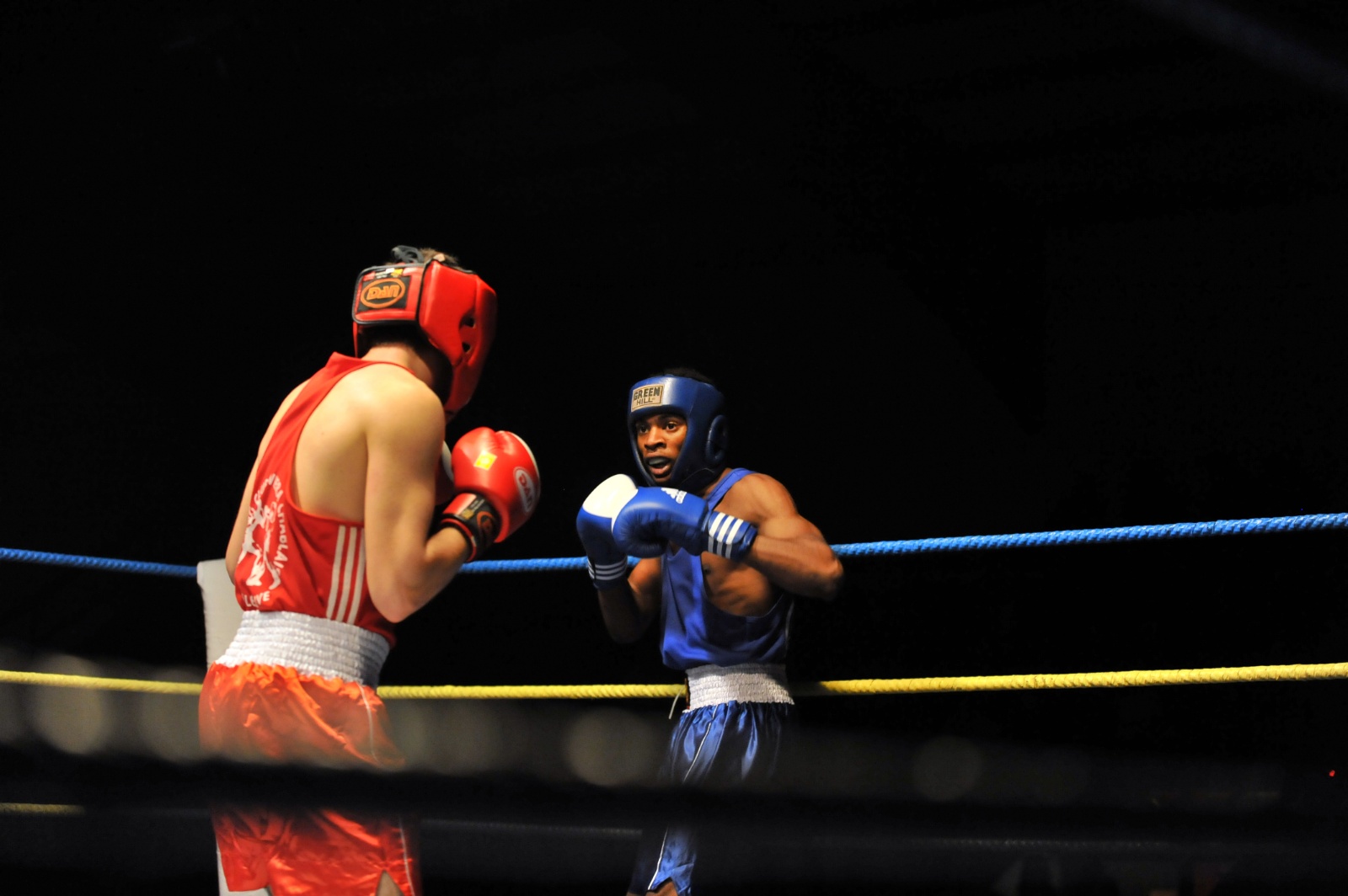 Gala boxe09 546
