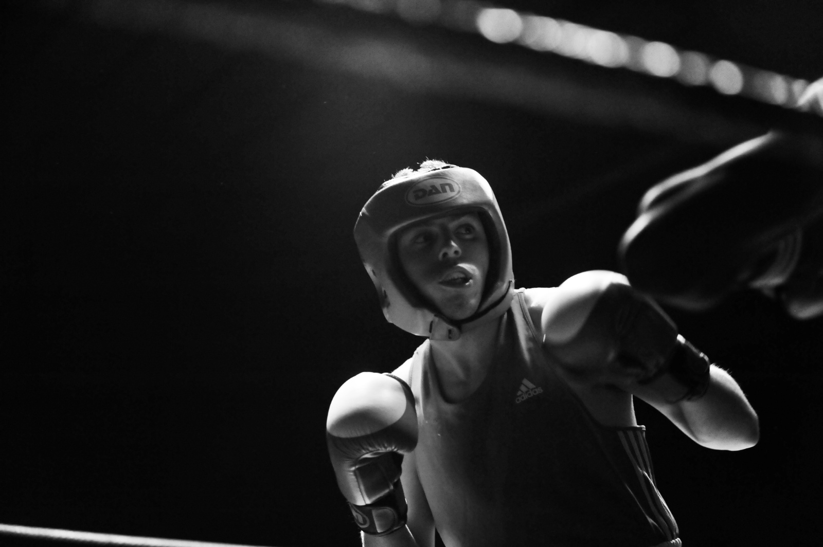Gala boxe09 552