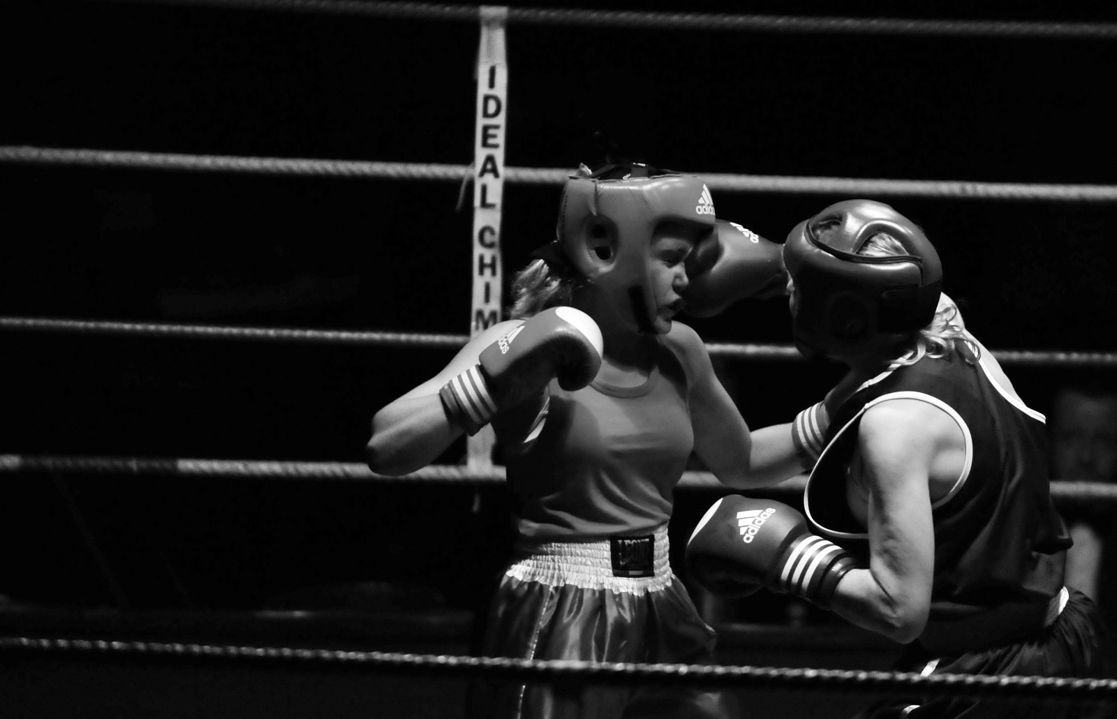 Gala boxe09 719